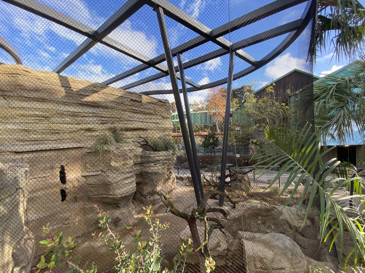 Black-tailed Prarie Dog Habitat (Cynomys ludovicianus) - Wildlife Explorers Basecamp (Desert Dunes)