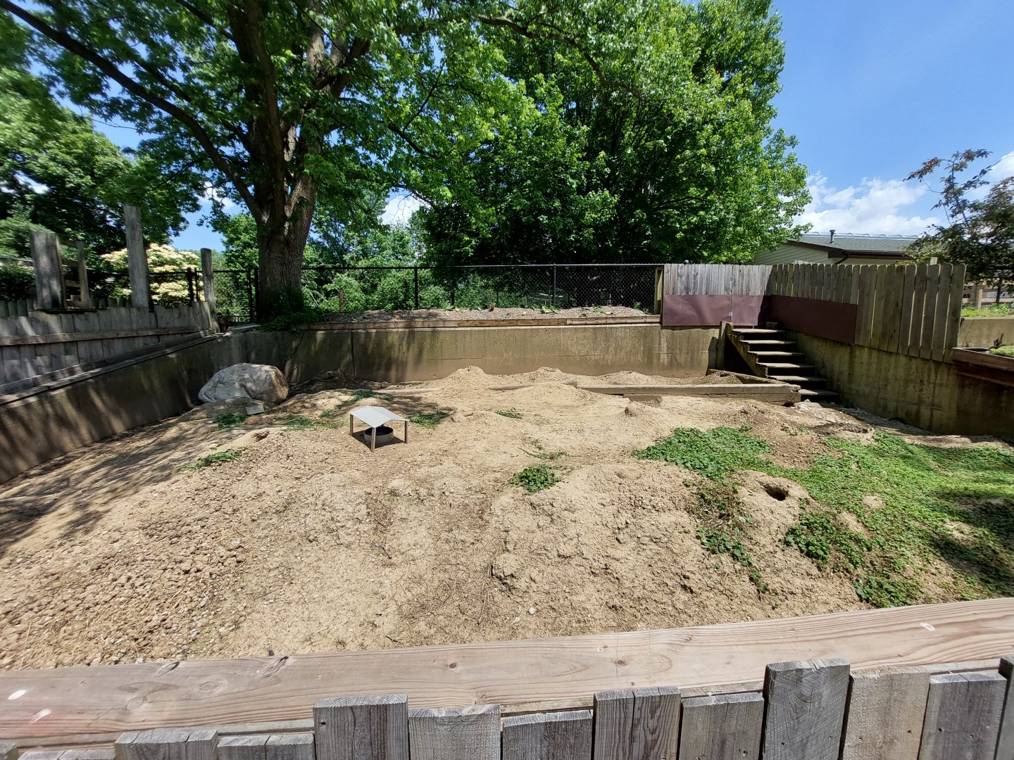 Black Tailed Prarie Dog overview