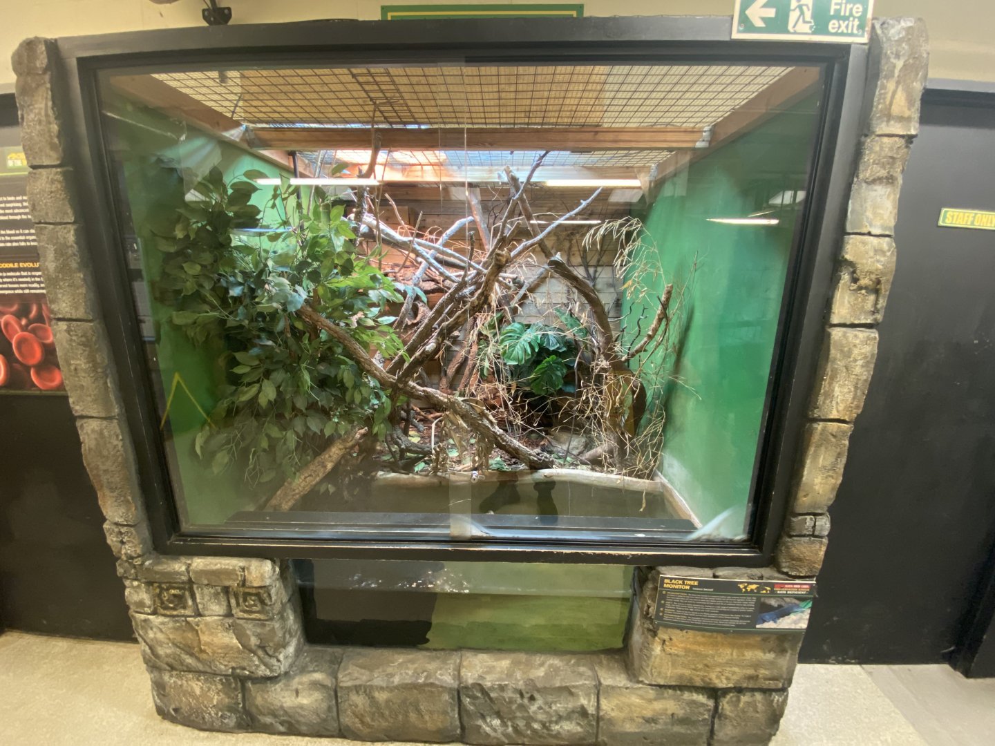 Black tee monitor exhibit