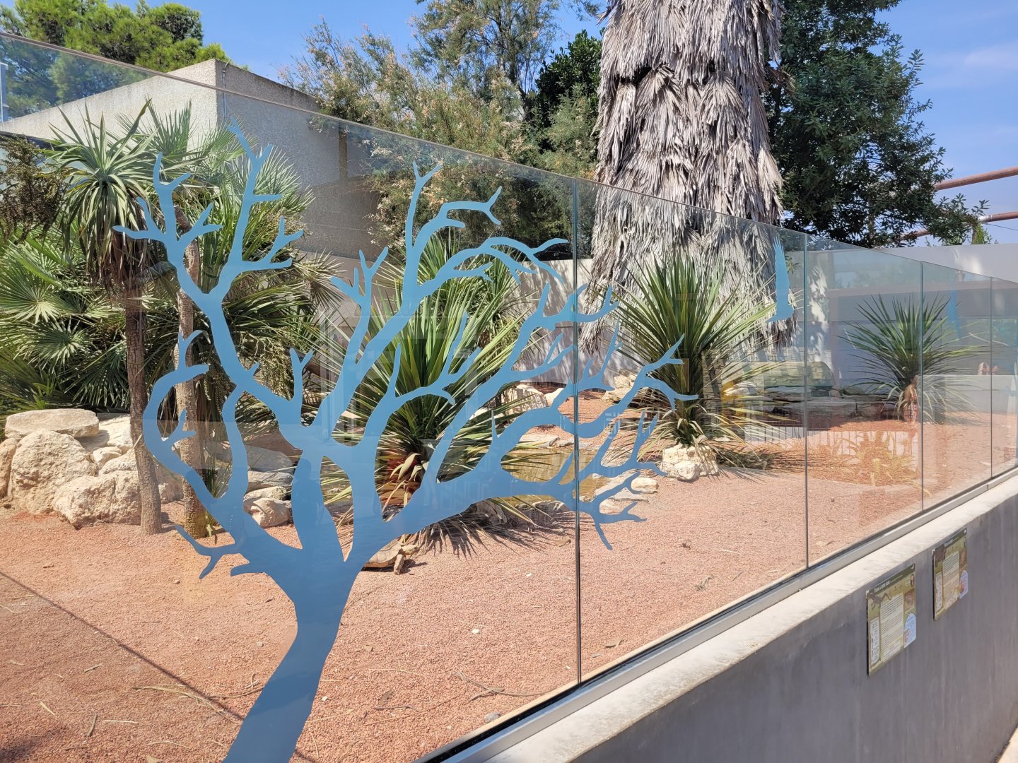 Black-throated monitor and African spurred tortoise exhibit -Réserve Africaine de Sigean (2022)