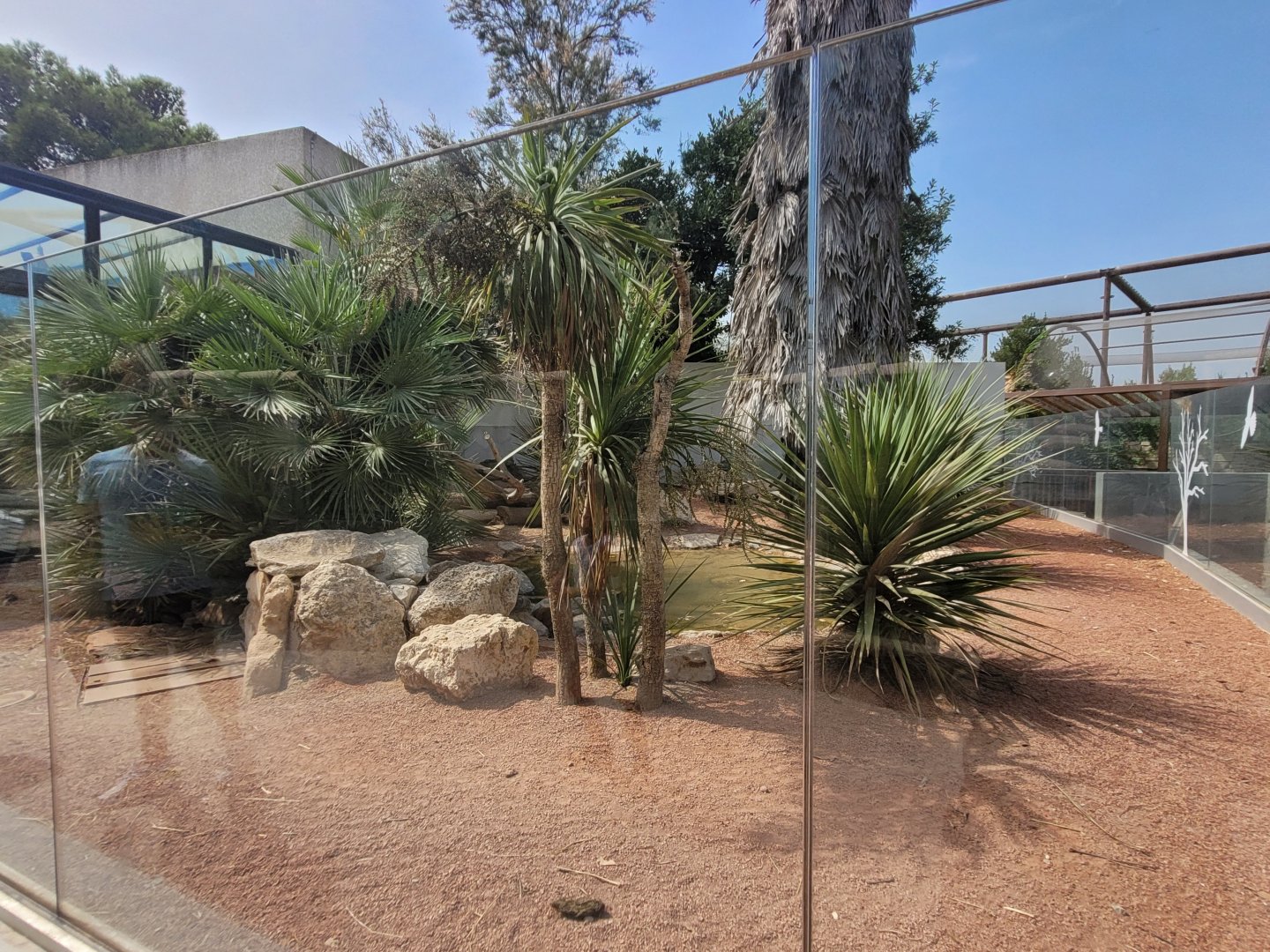 Black-throated monitor and African spurred tortoise exhibit -Réserve Africaine de Sigean (2022)