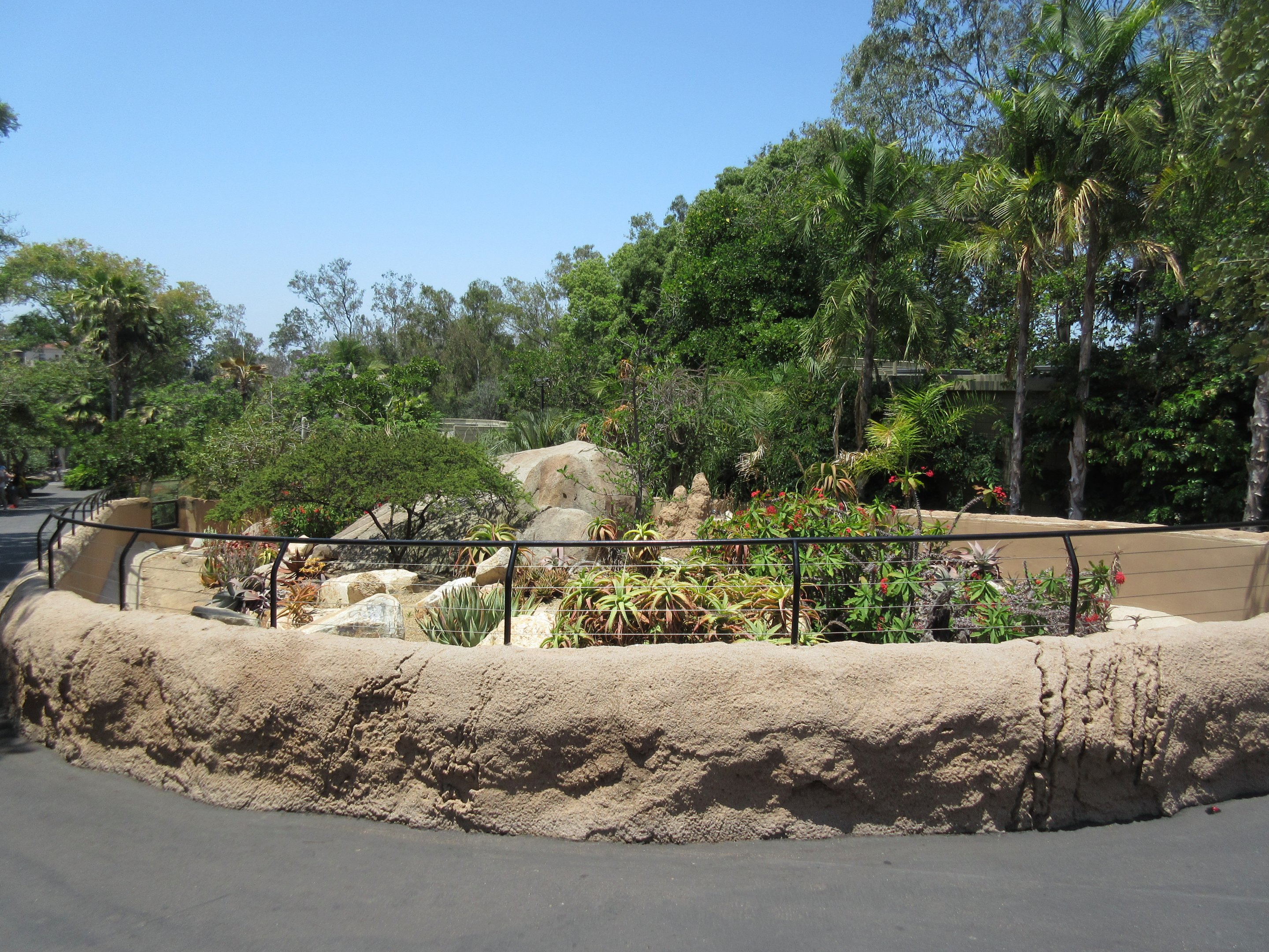 Black-Throated Monitor Exhibit (enormous!)