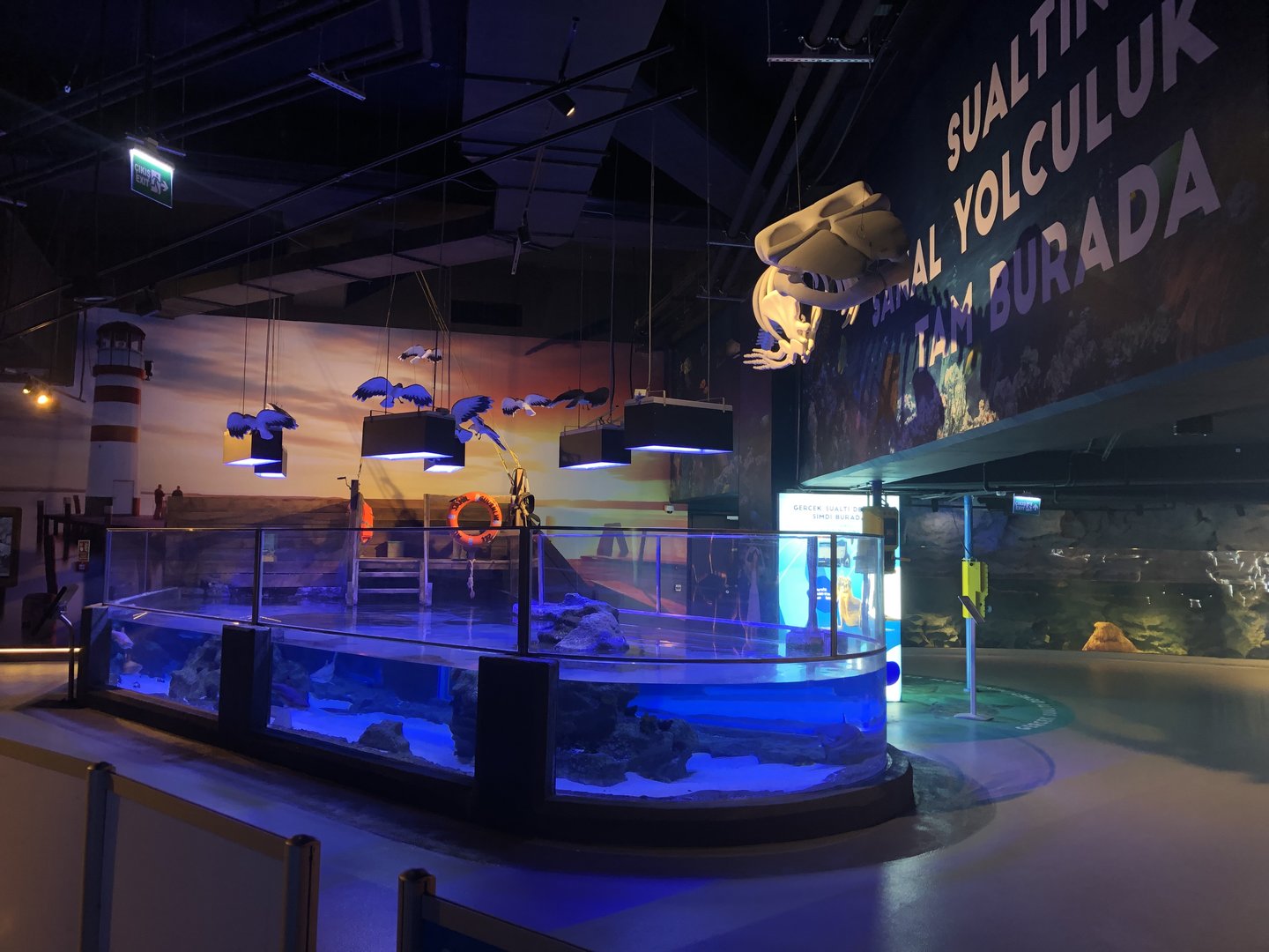 Black-tip reef shark tank at Emaar aquarium