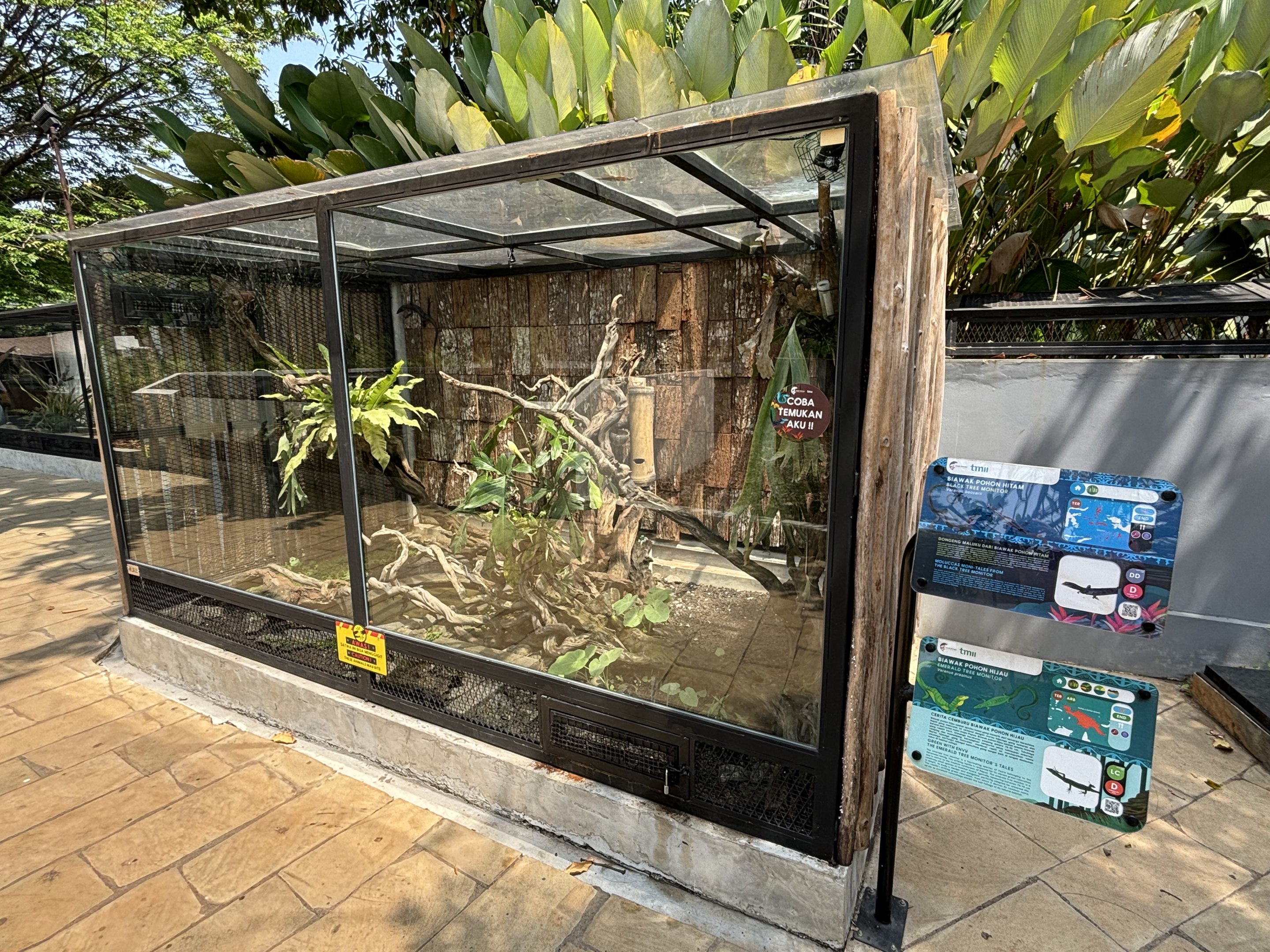 Black Tree Monitor + Emerald Tree Monitor + Timor Monitor Exhibit