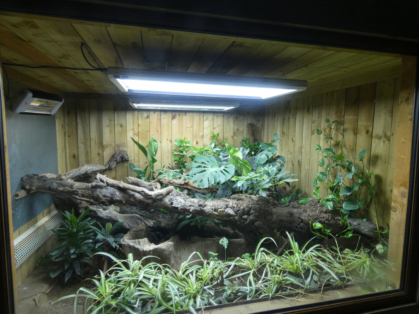 Black tree monitor enclosure