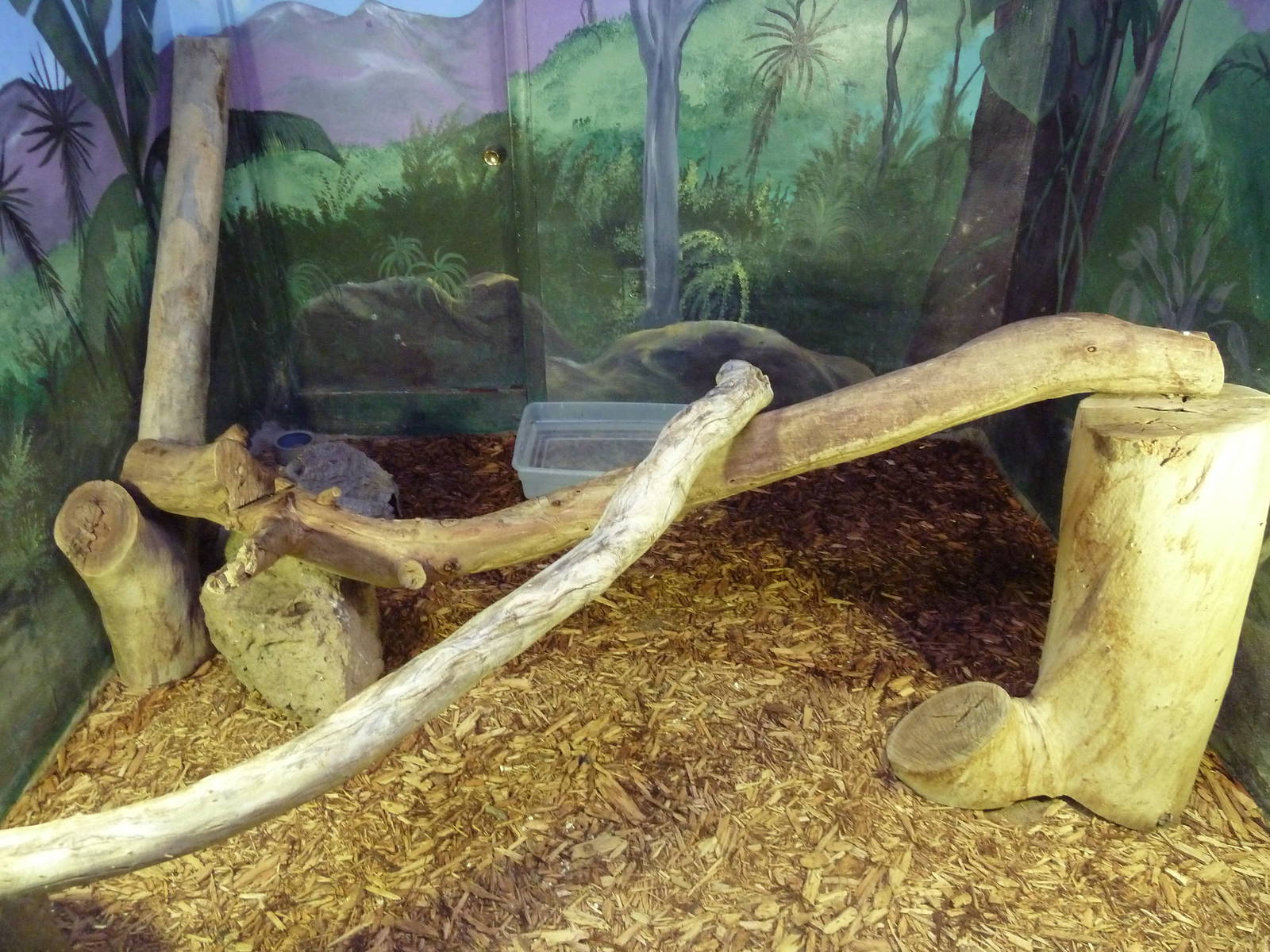 Black Tree Monitor Exhibit