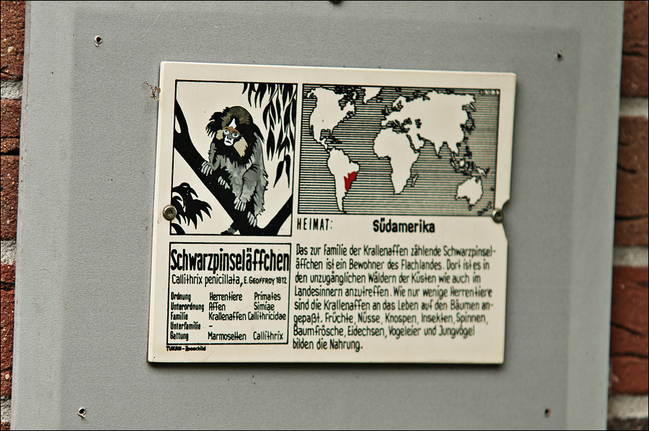 Black tufted-ear marmoset sign at Thüle