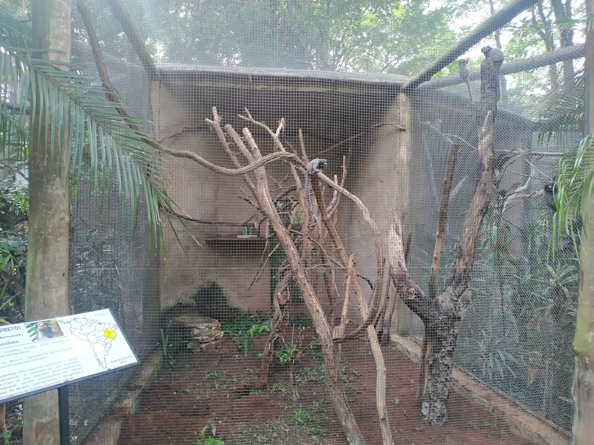 Black-Tufted Marmoset Enclosure