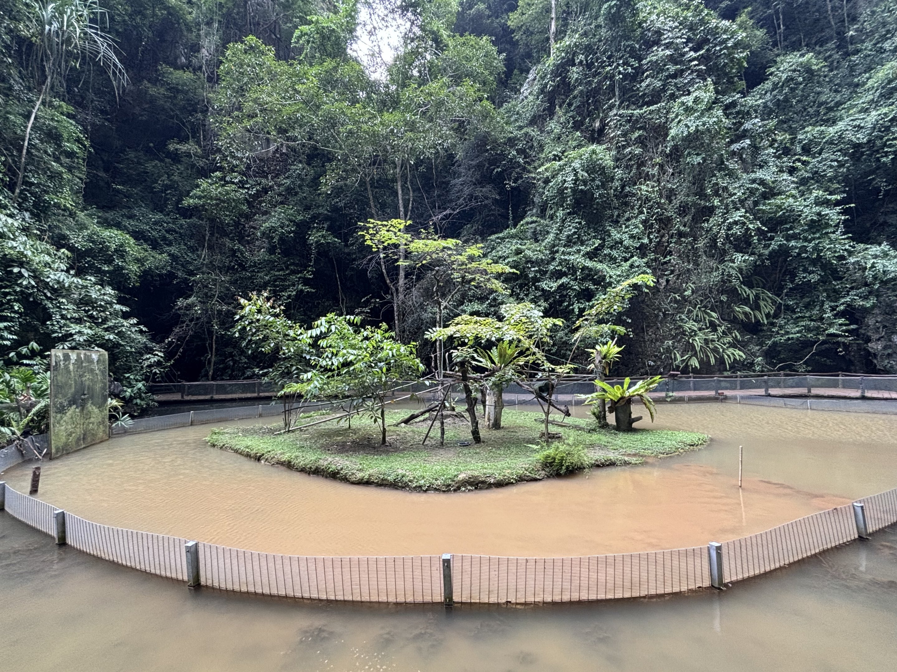 Black-tufted Marmoset Exhibit - Lost World of Tambun