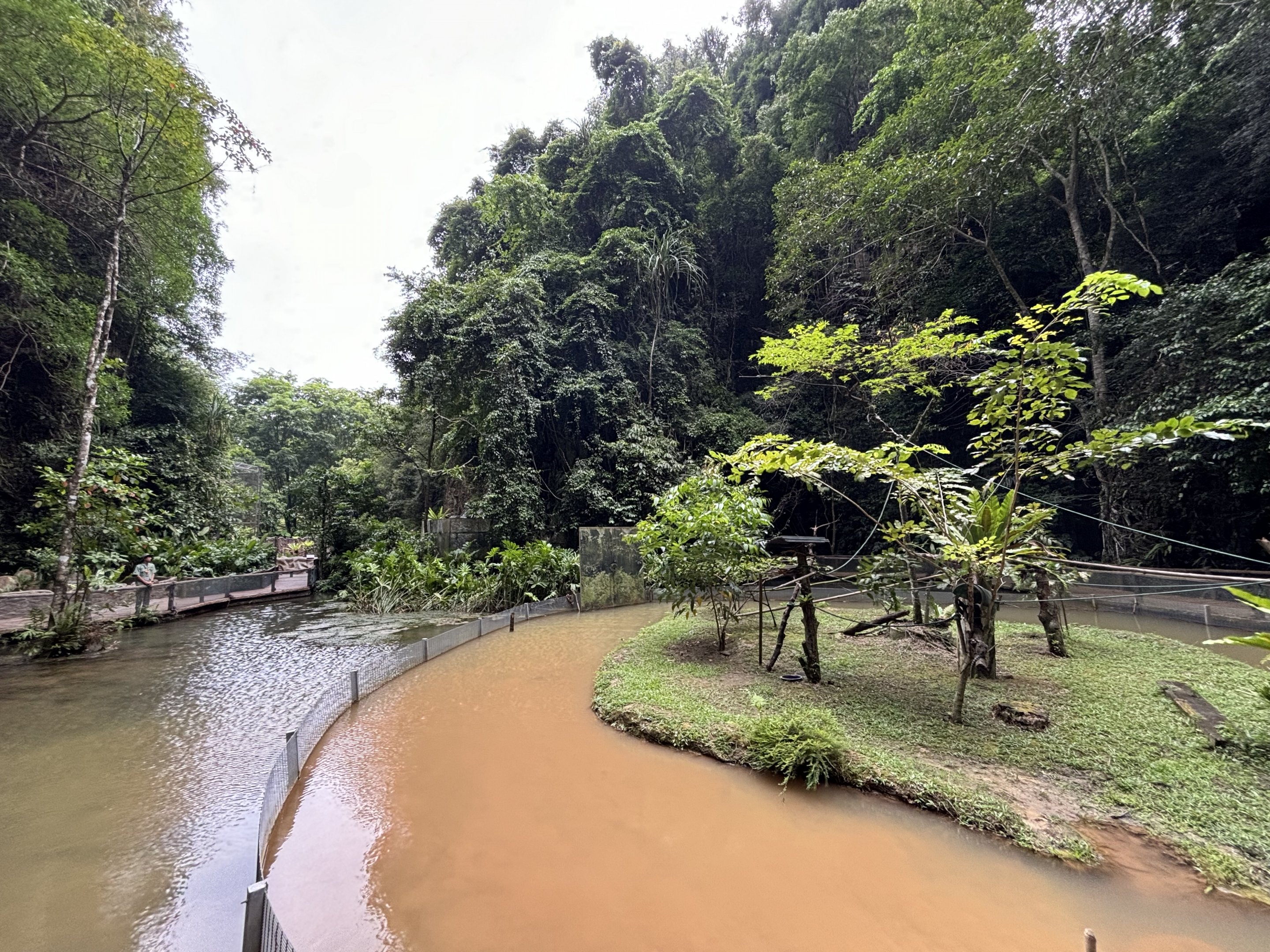 Black-tufted Marmoset Exhibit - Lost World of Tambun