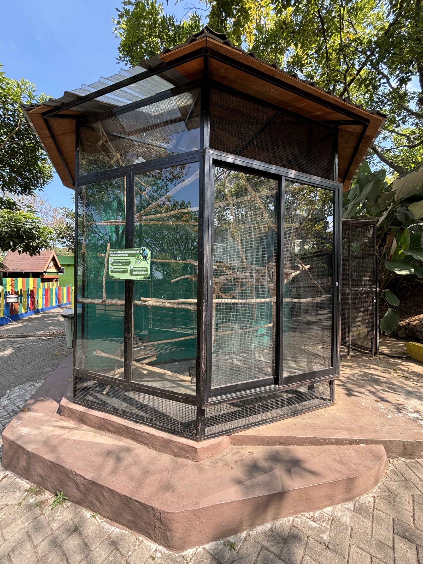 Black-tufted Marmoset Exhibit