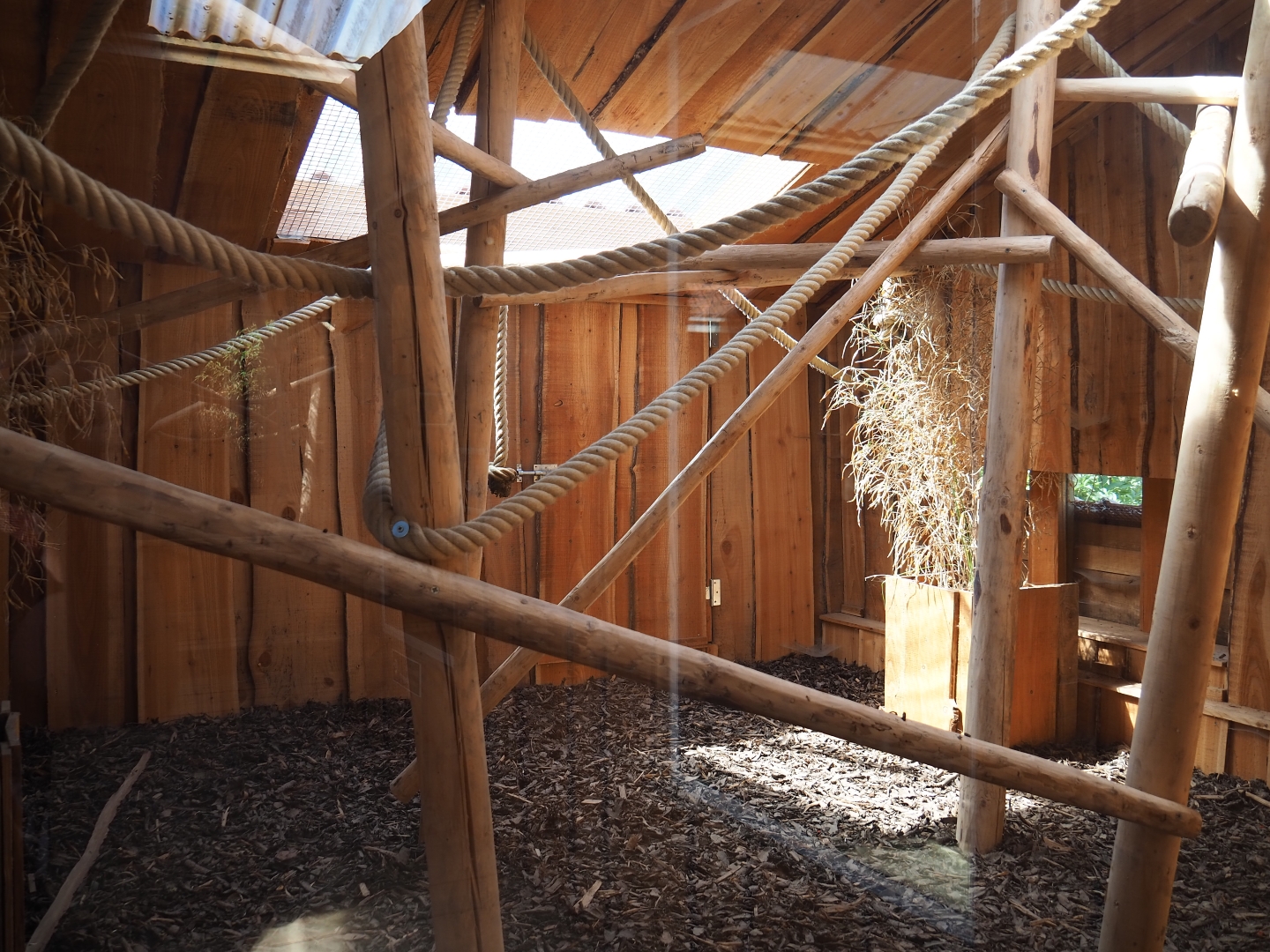 Black-tufted marmosets exhibits