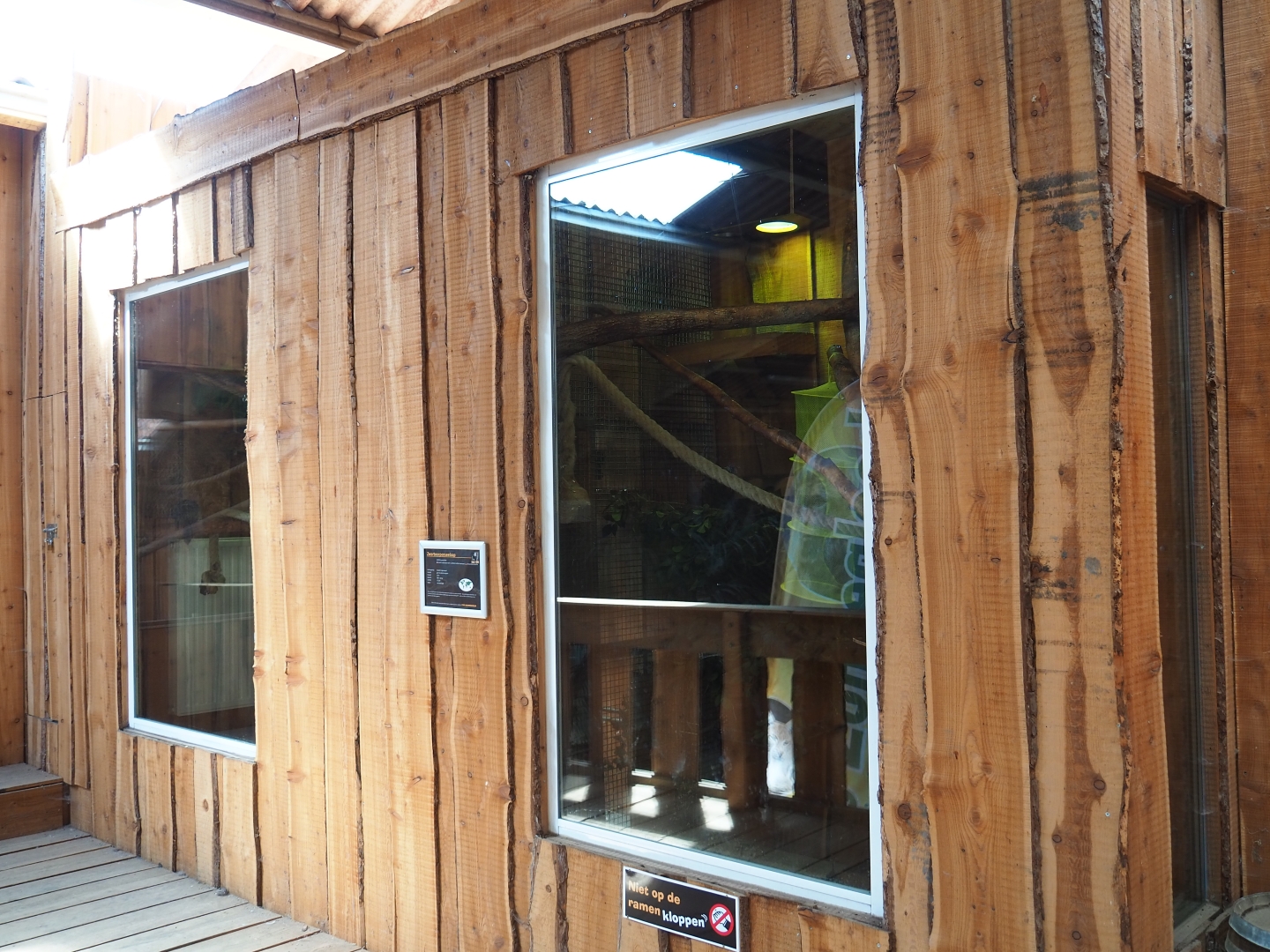 Black-tufted marmosets exhibits