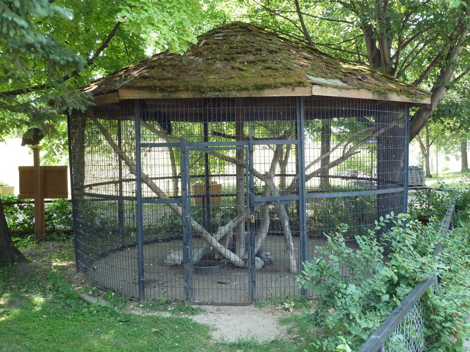 Black Vulture Exhibit