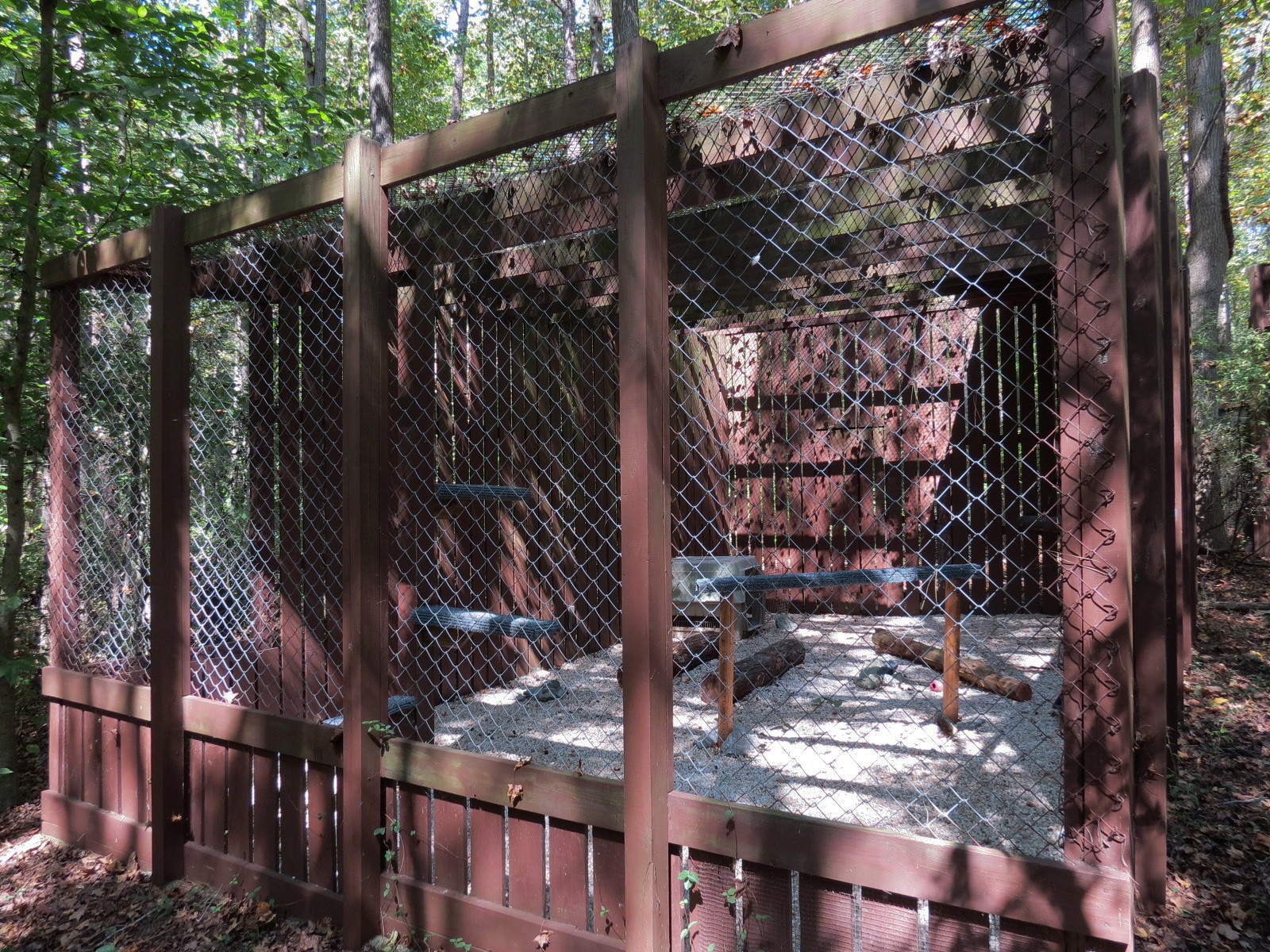 Black Vulture Exhibit