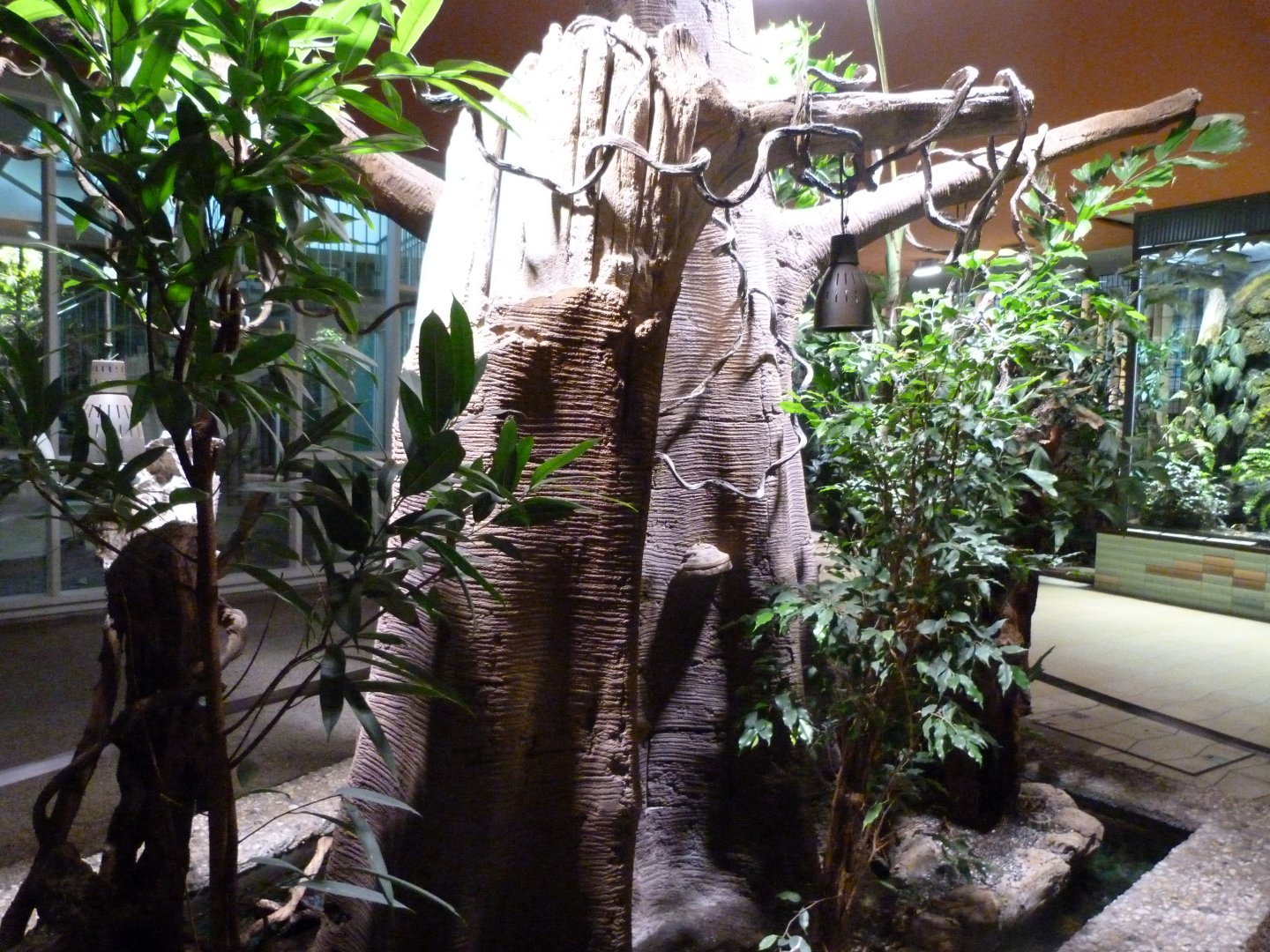 Black weaver ant exhibit -Tierpark Berlin (2024)