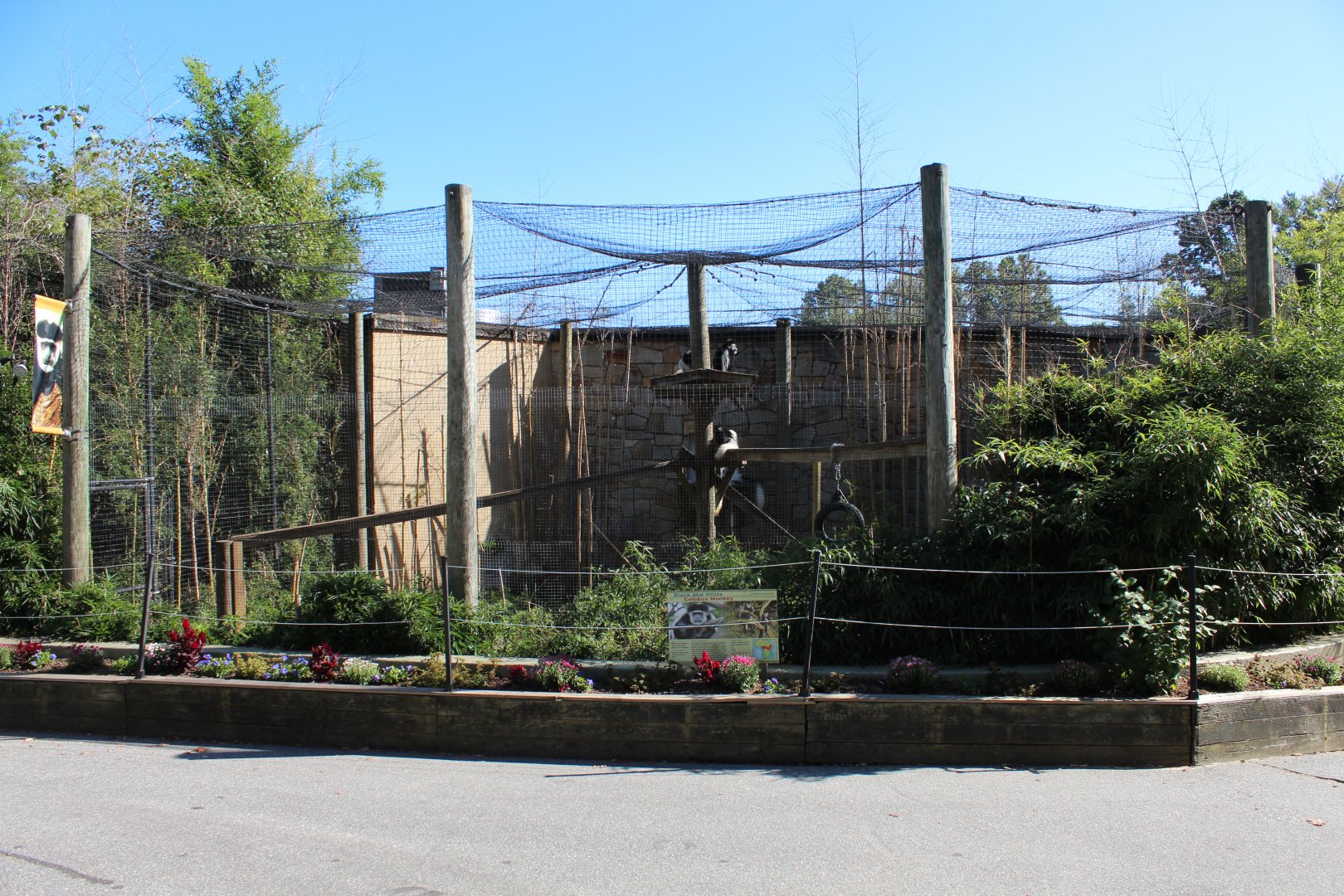 Black & White Colobus Enclosure - Oct 2017