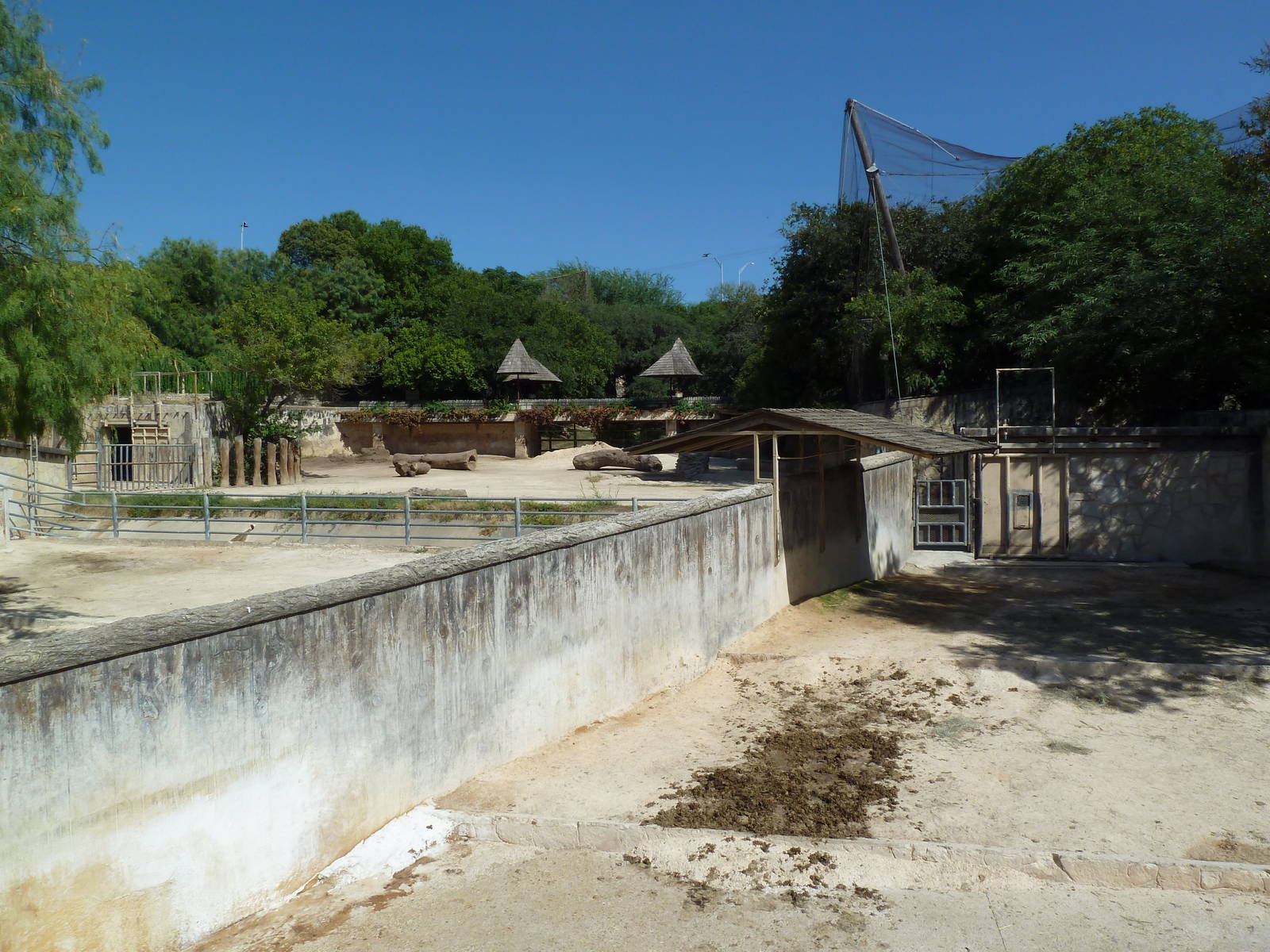 Black + White Rhino Exhibits