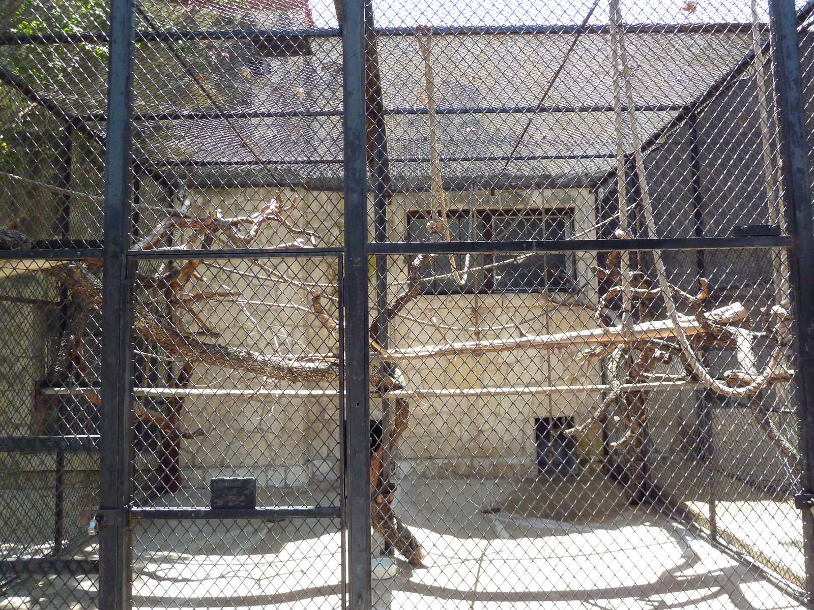 Black + White Ruffed Lemur Cage