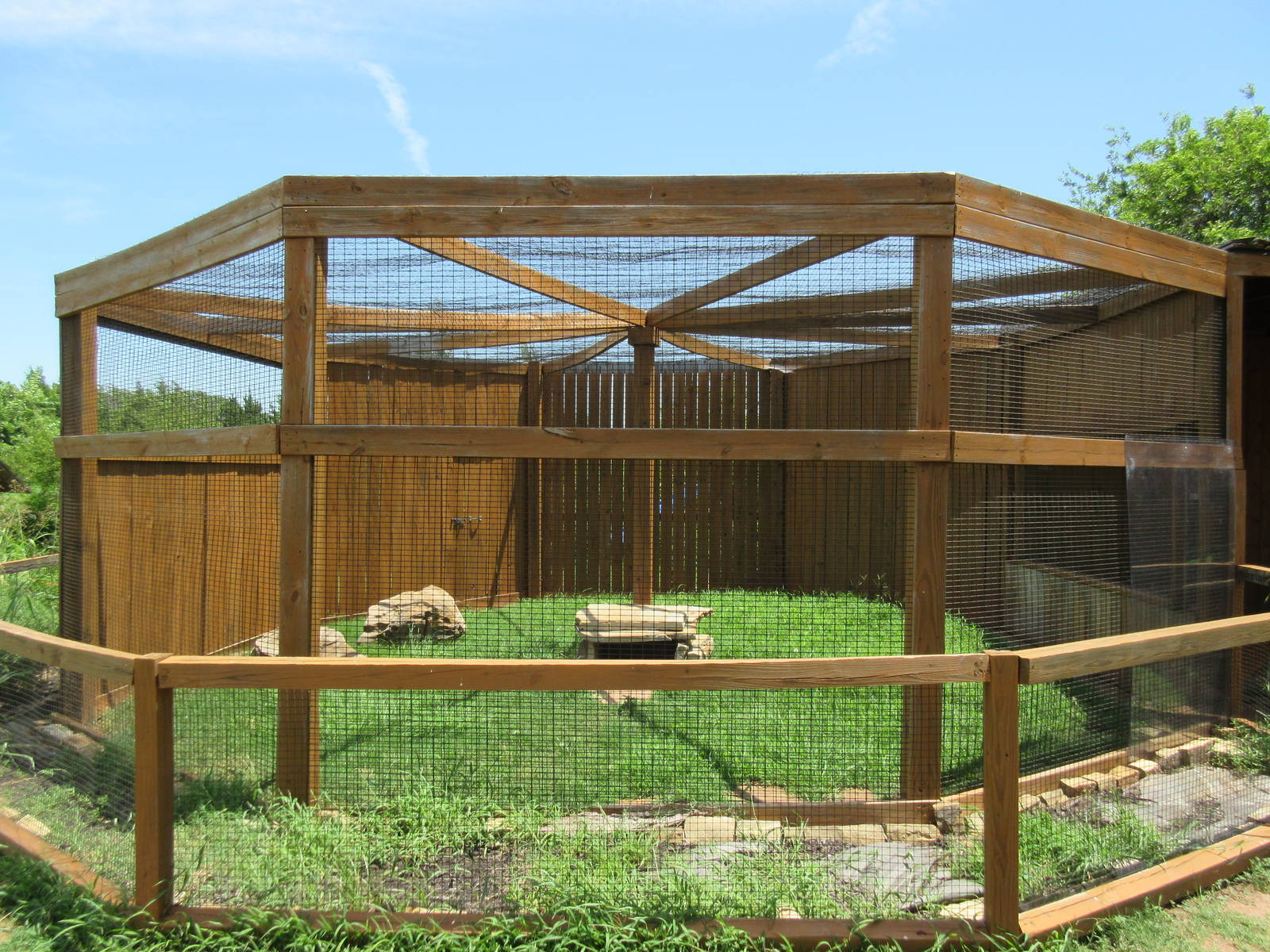 Black + White Ruffed Lemur Exhibit #2