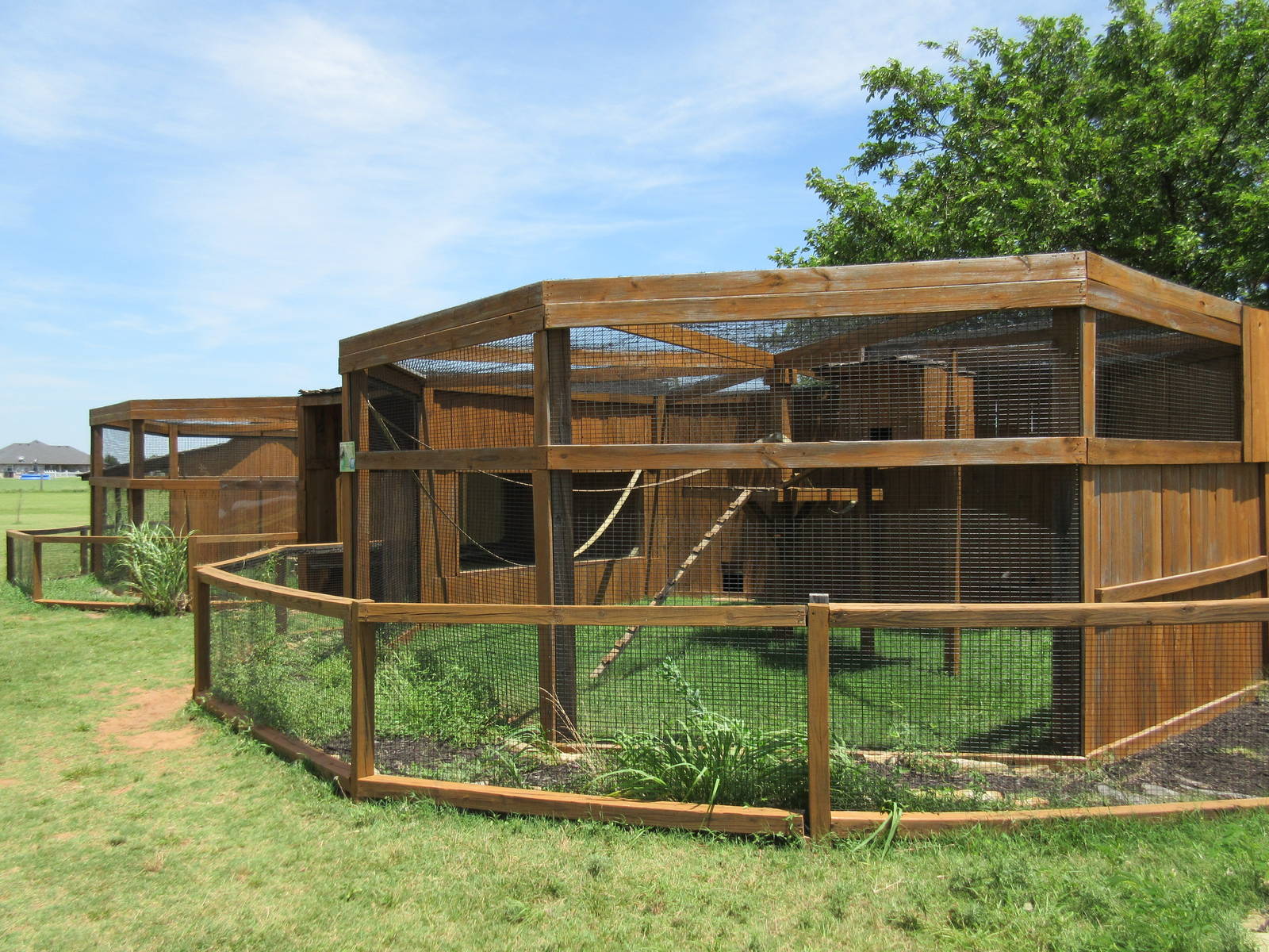 Black + White Ruffed Lemur Exhibits