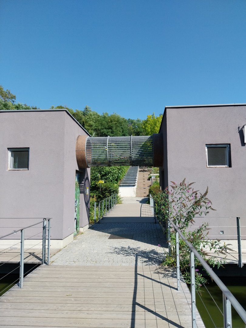 Black & white ruffed lemur pavillion - Connection skywalk
