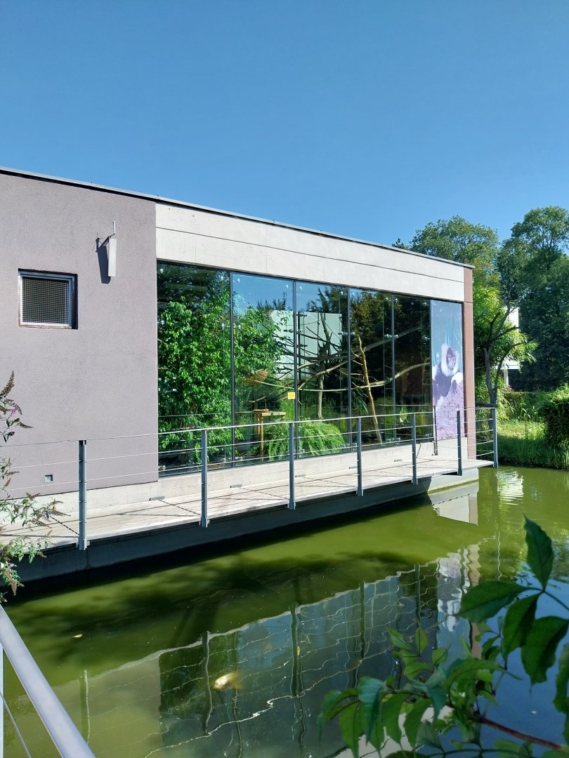 Black & white ruffed lemur pavillion