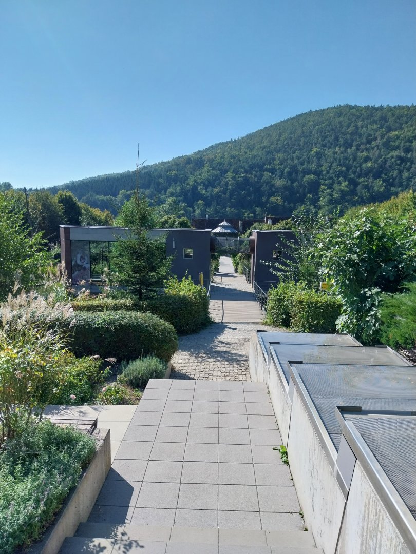 Black & white ruffed lemur pavillion