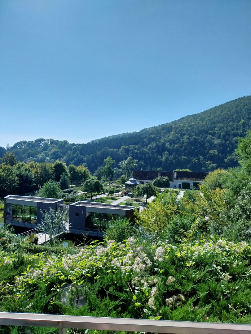 Black & white ruffed lemur pavillion