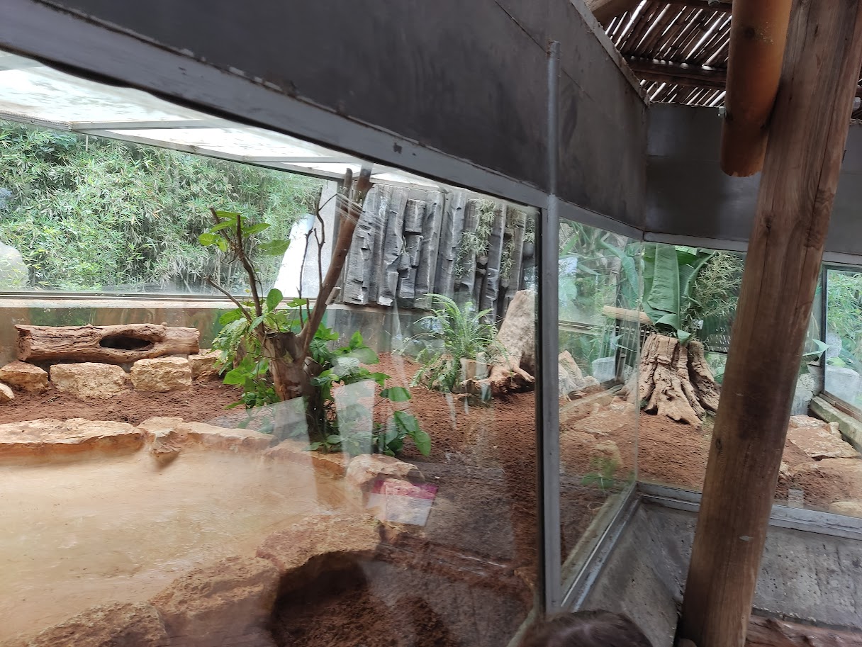 Black&White Tegu 04/23