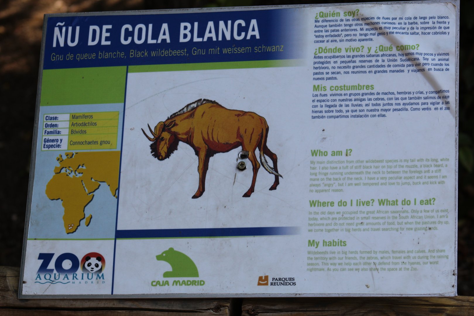 Black Wildebeest Signage