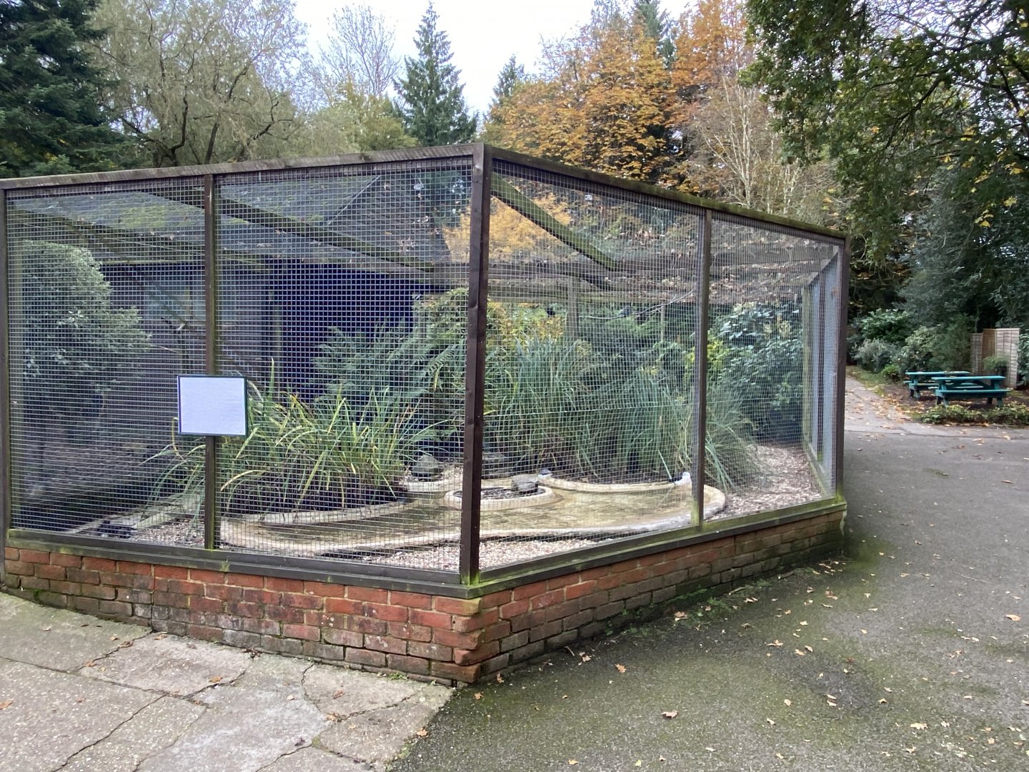 Black-winged stilt aviary 061121