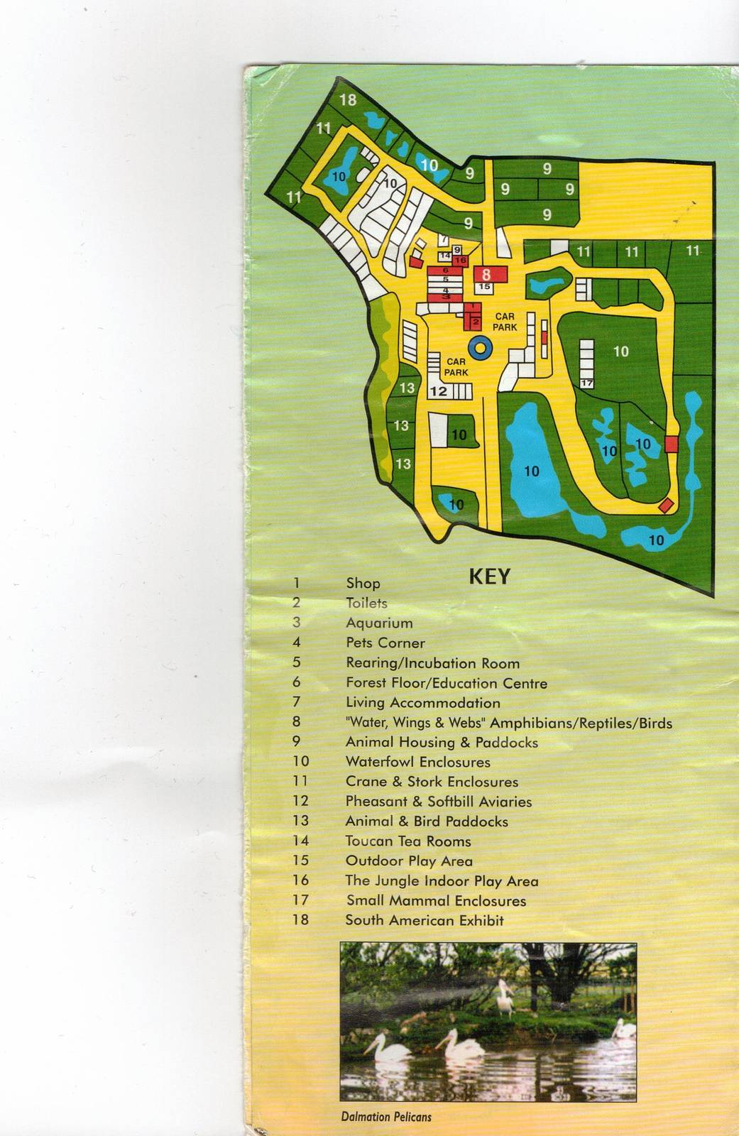 Blackbrook Map- year?
