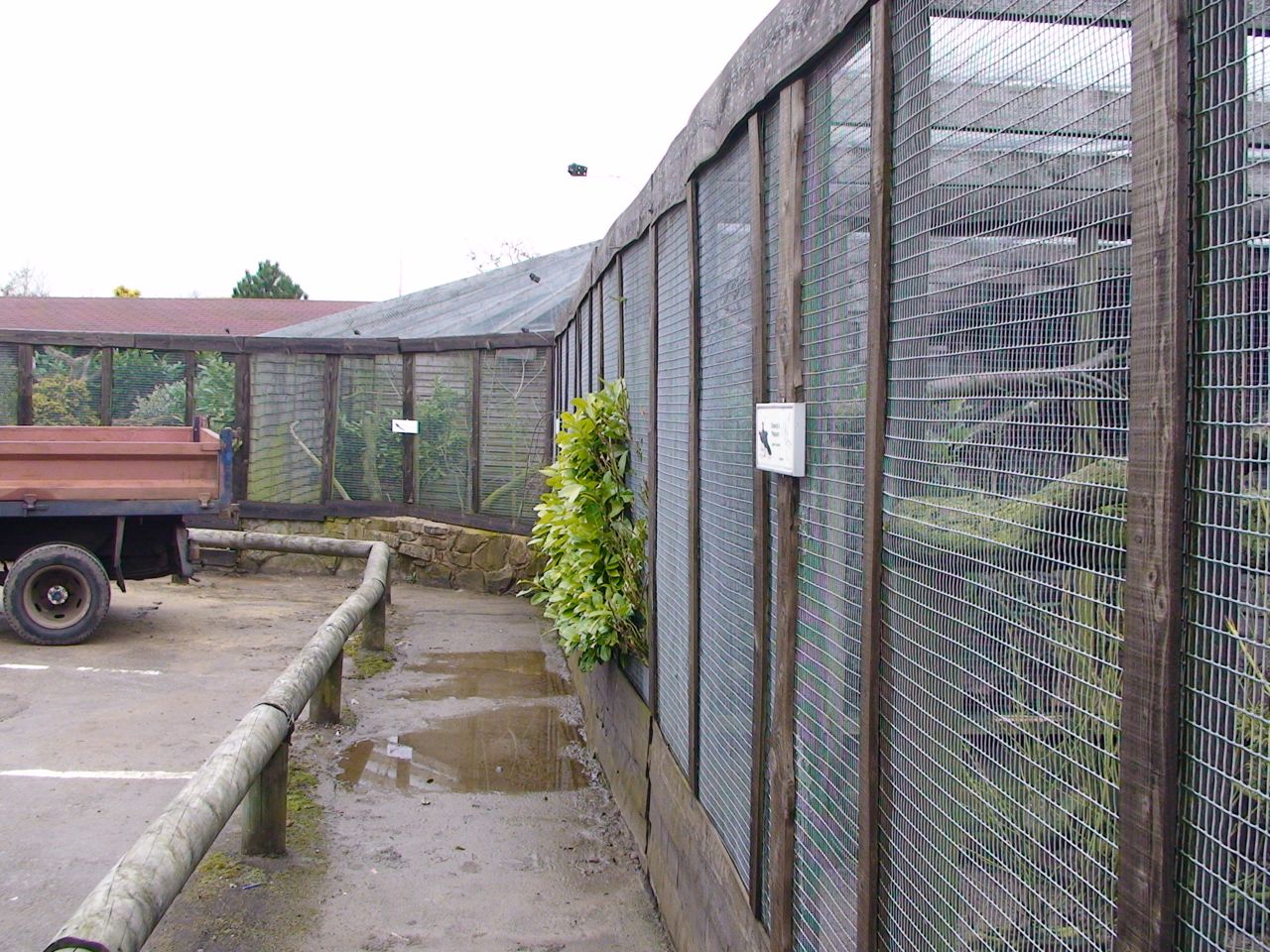 Blackbrook Pheasant aviaries