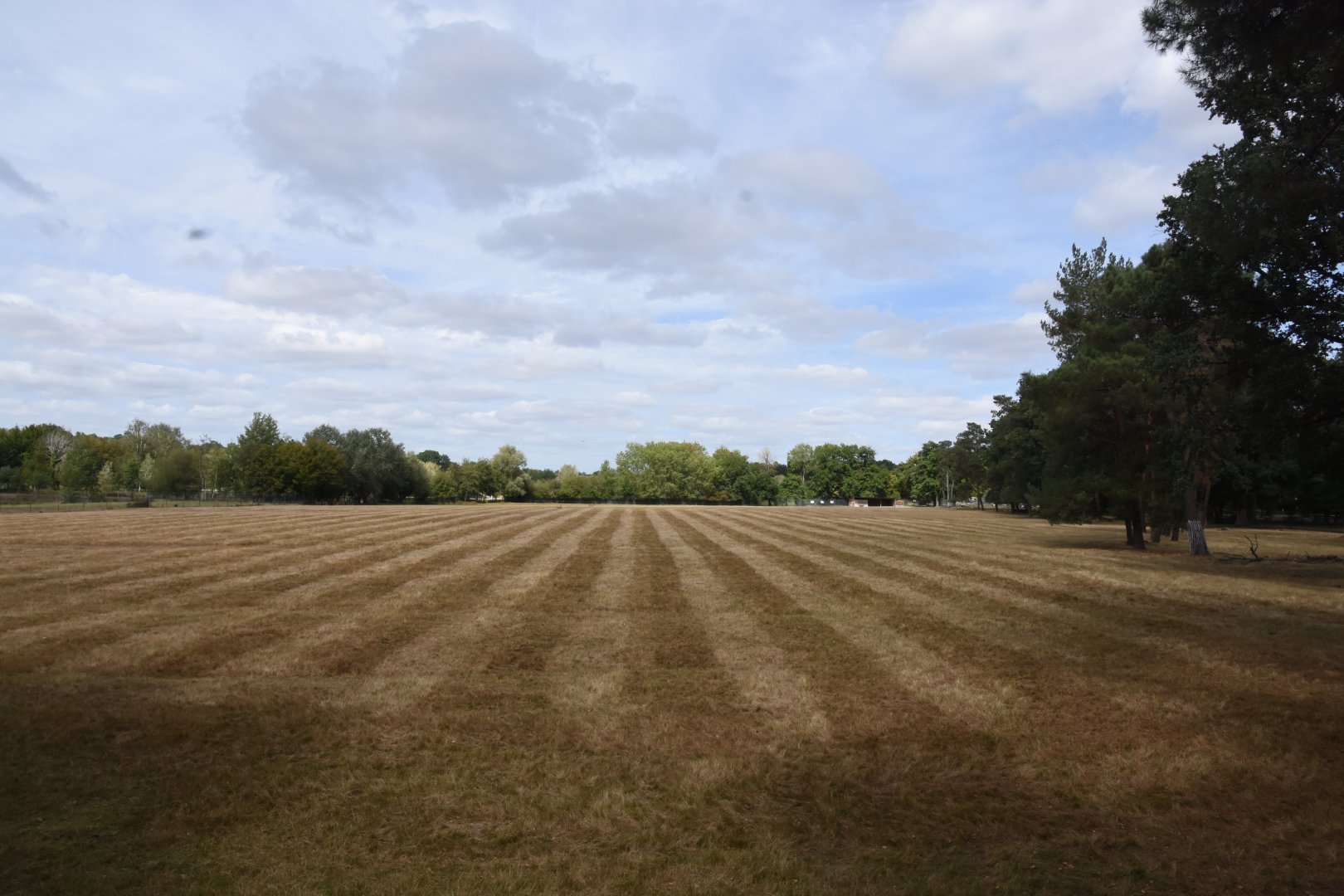 Blackbuck and Axis deer paddock