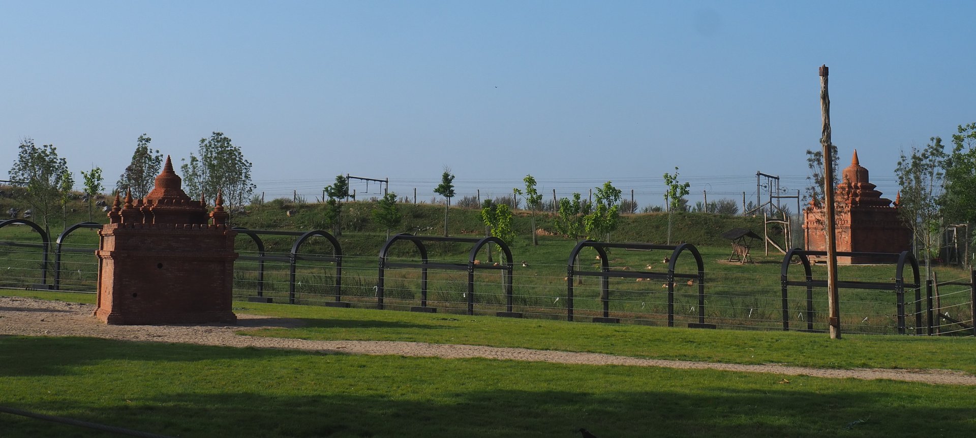 Blackbuck and Tajik markhor area (behind one of the Asian elephant paddocks and the railway), 2021-09-02