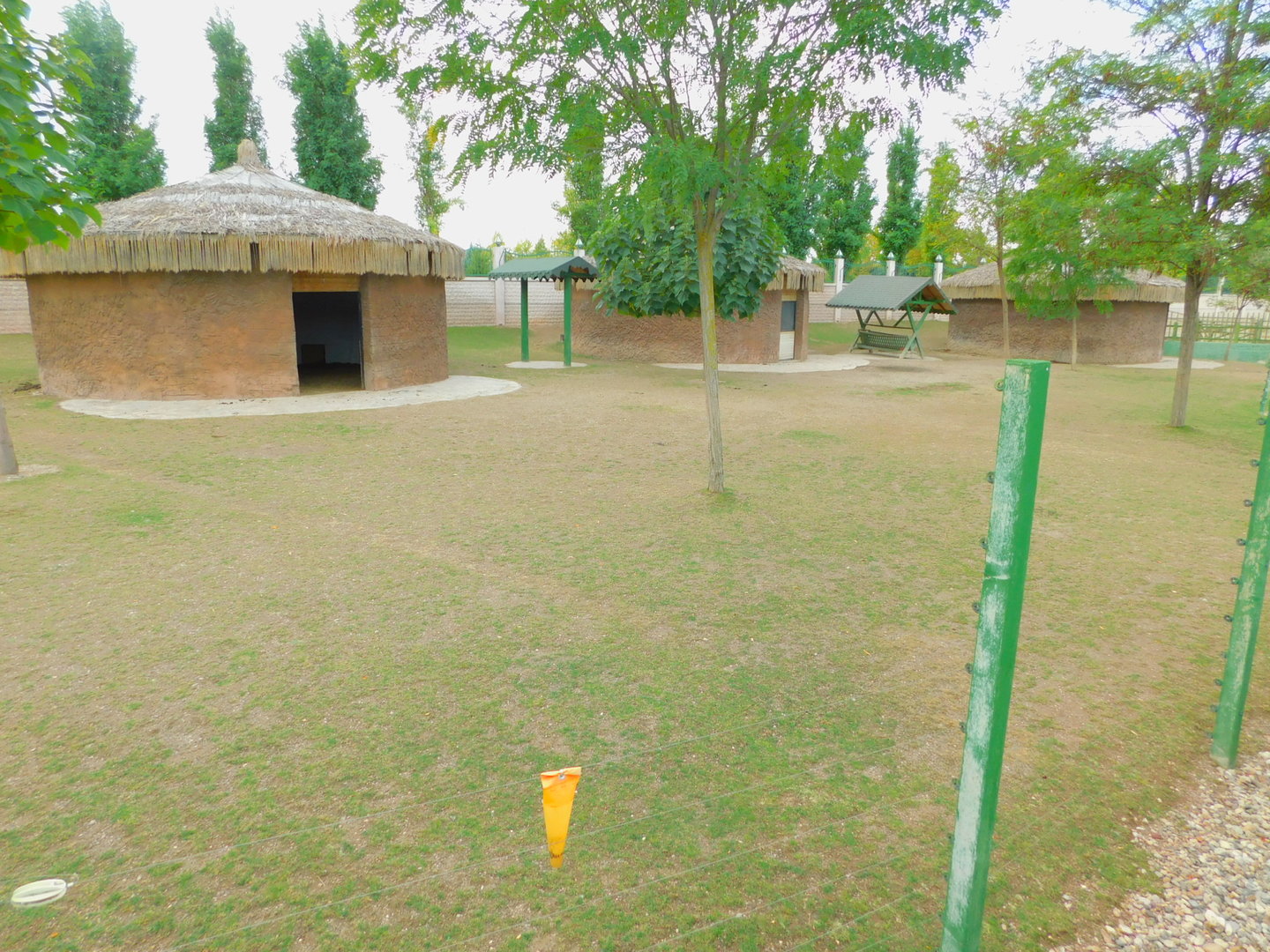 Blackbuck and Zebra Enclosure