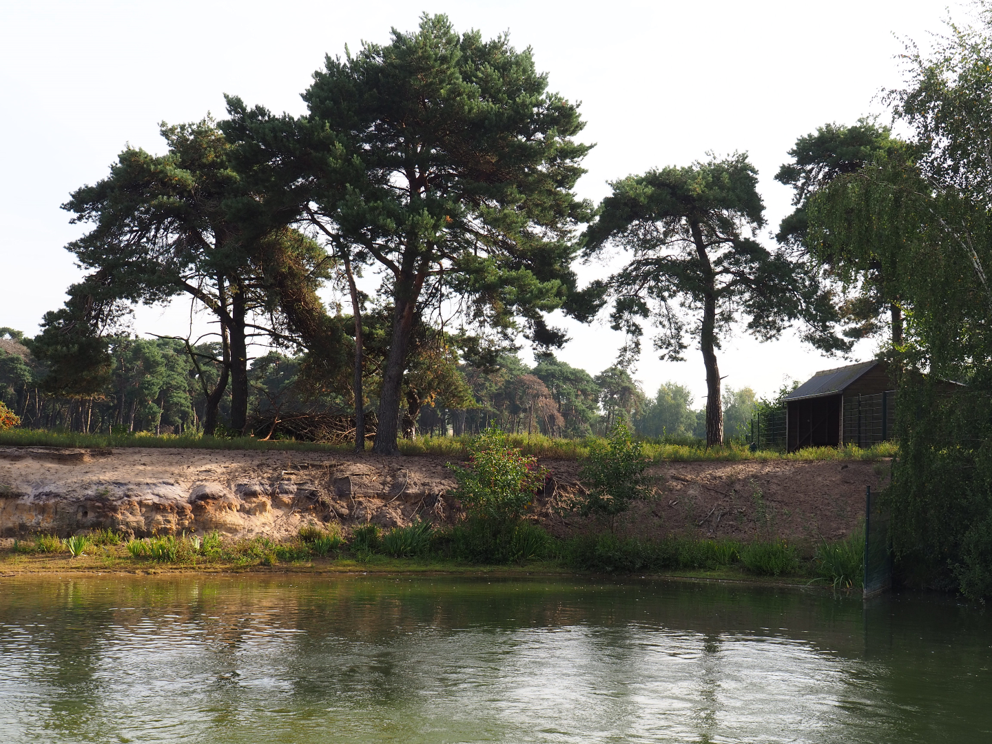 Blackbuck exhibit, 2019-09-15