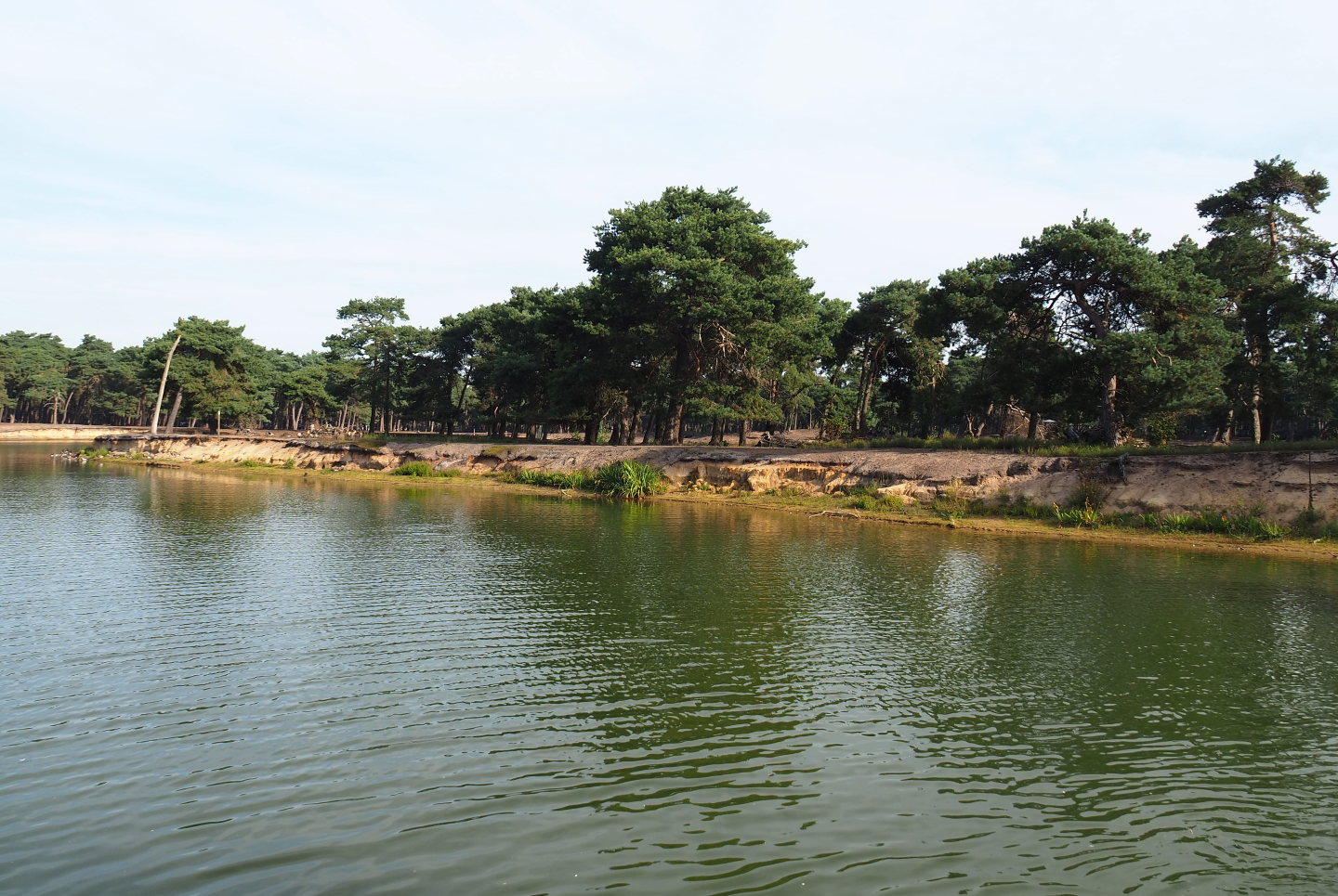 Blackbuck exhibit, 2019-09-15