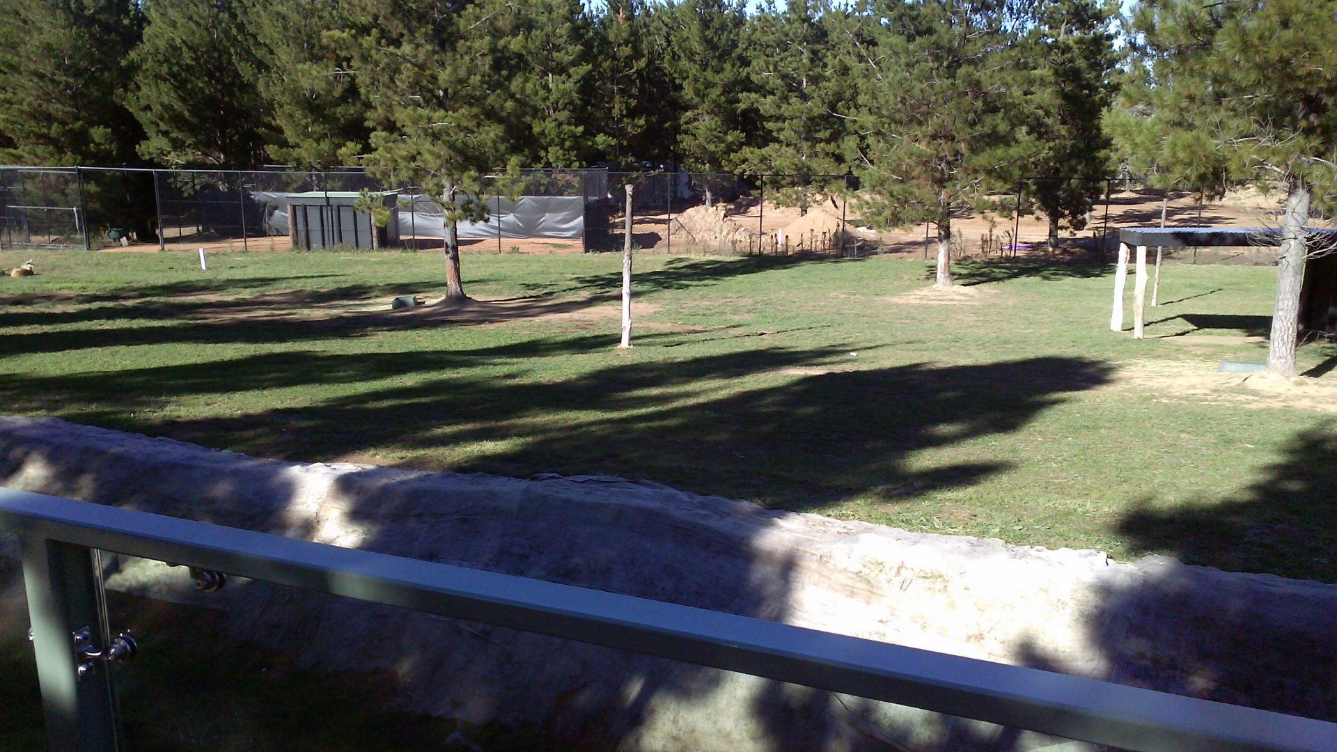 Blackbuck exhibit