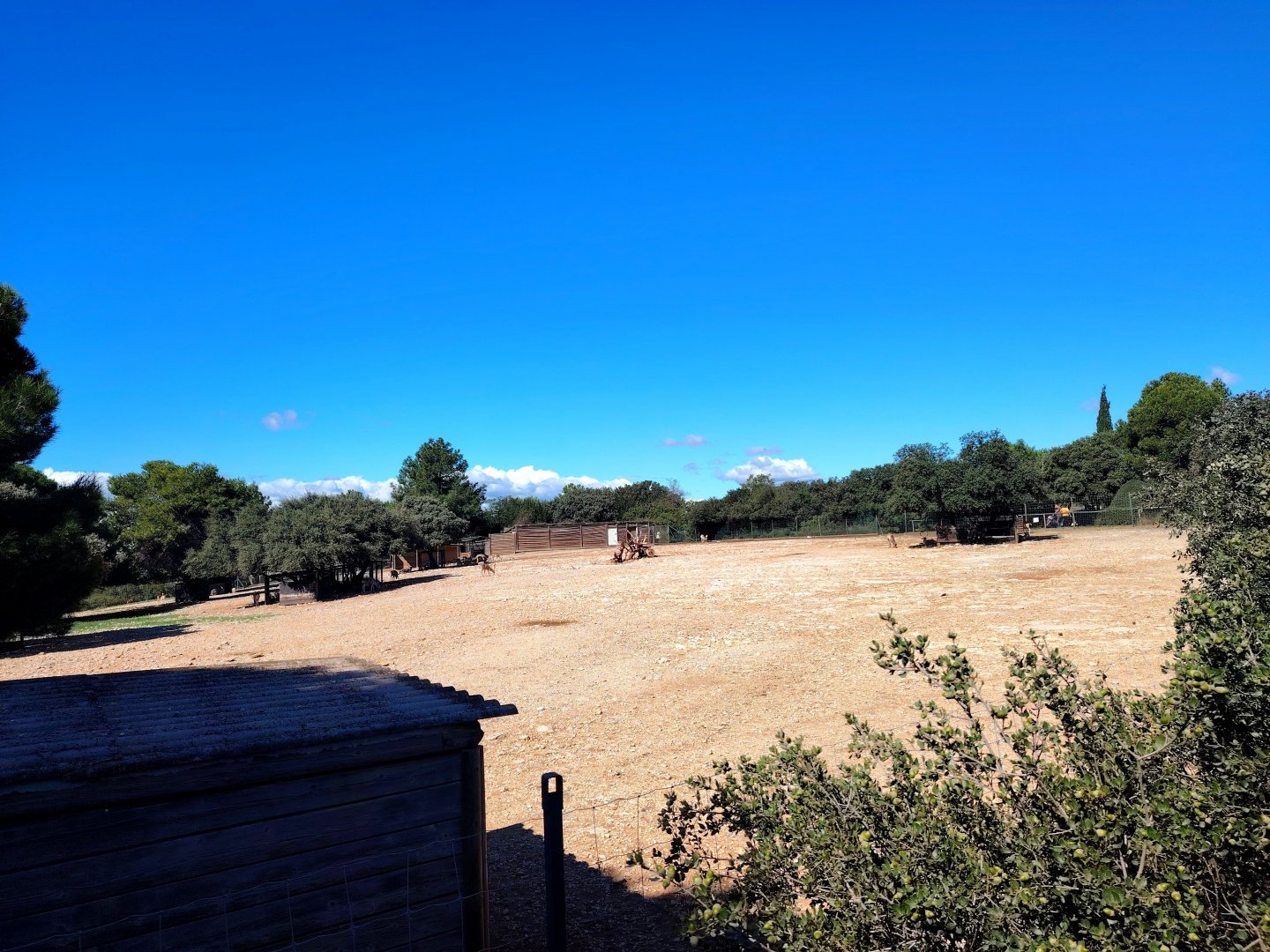 Blackbuck & Fallow Deer Exhibit