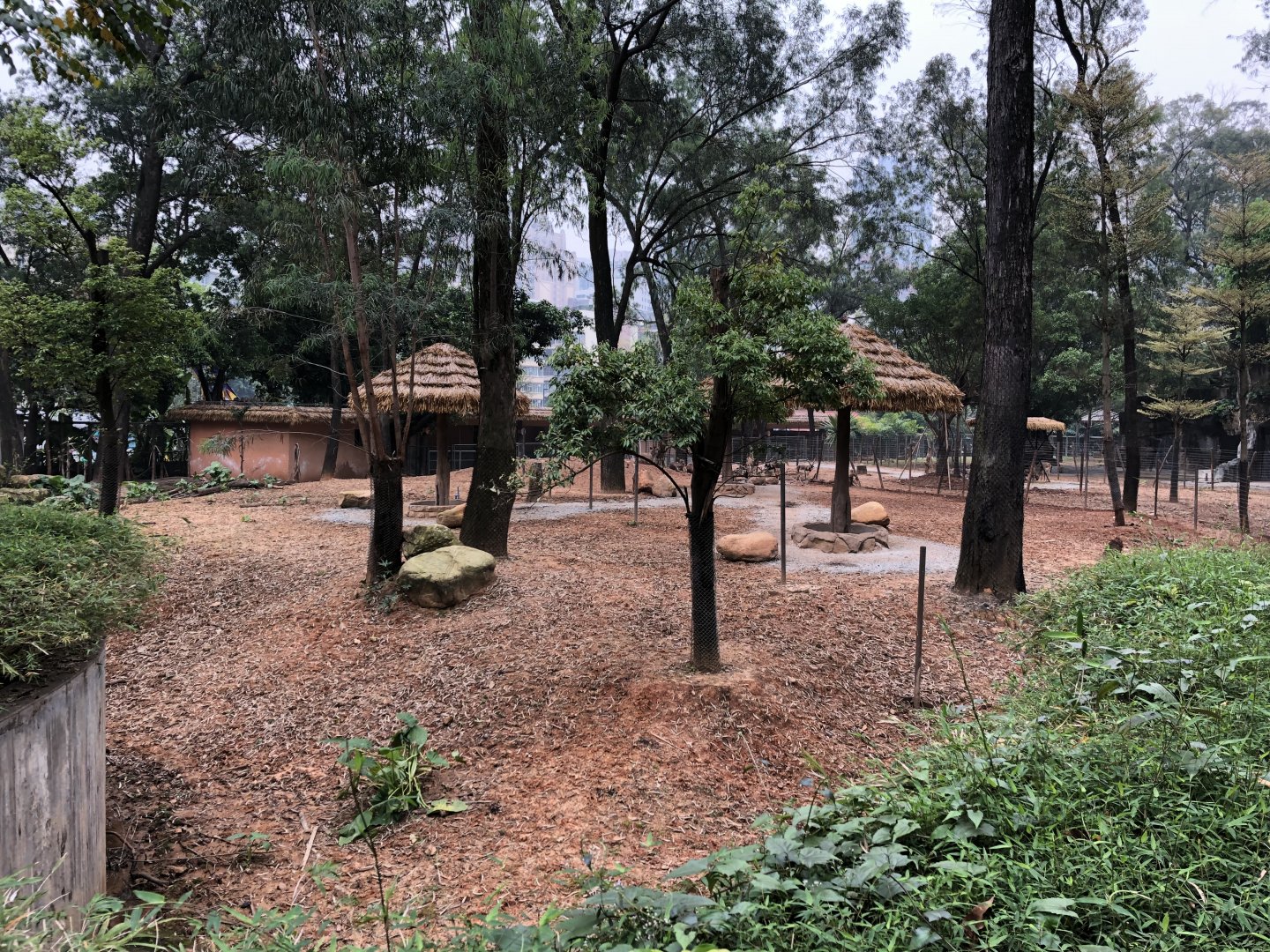 Blackbuck & Hainan Eld’s Deer Exhibit