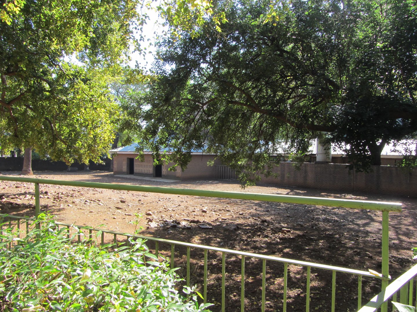 Blackbuck/Indian Hog Deer Yard