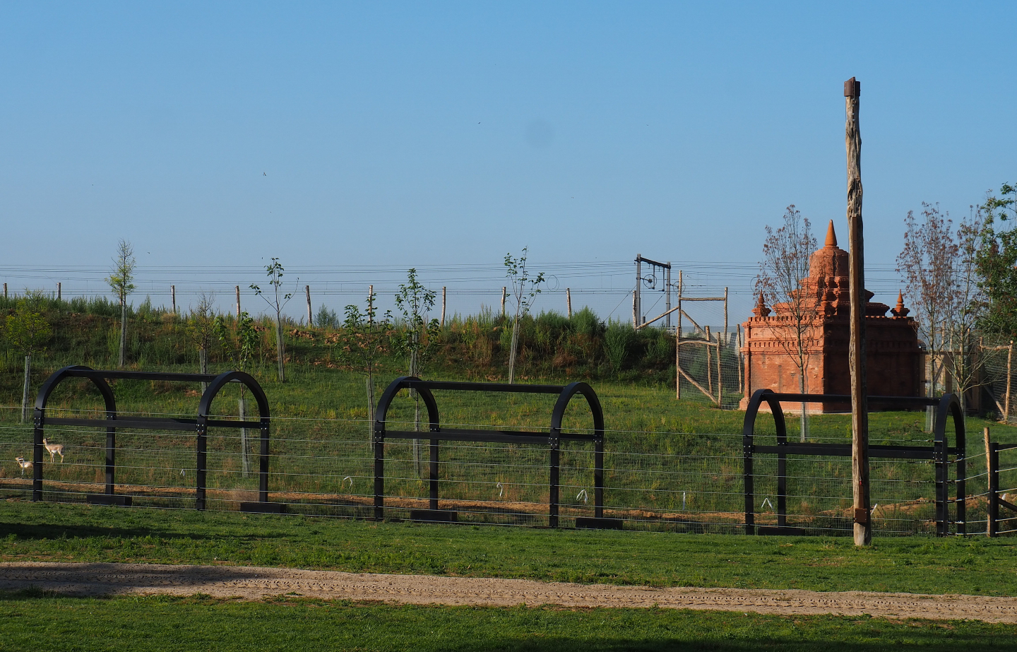 Blackbuck/Tajik markhor area and train track, 2020-09-02