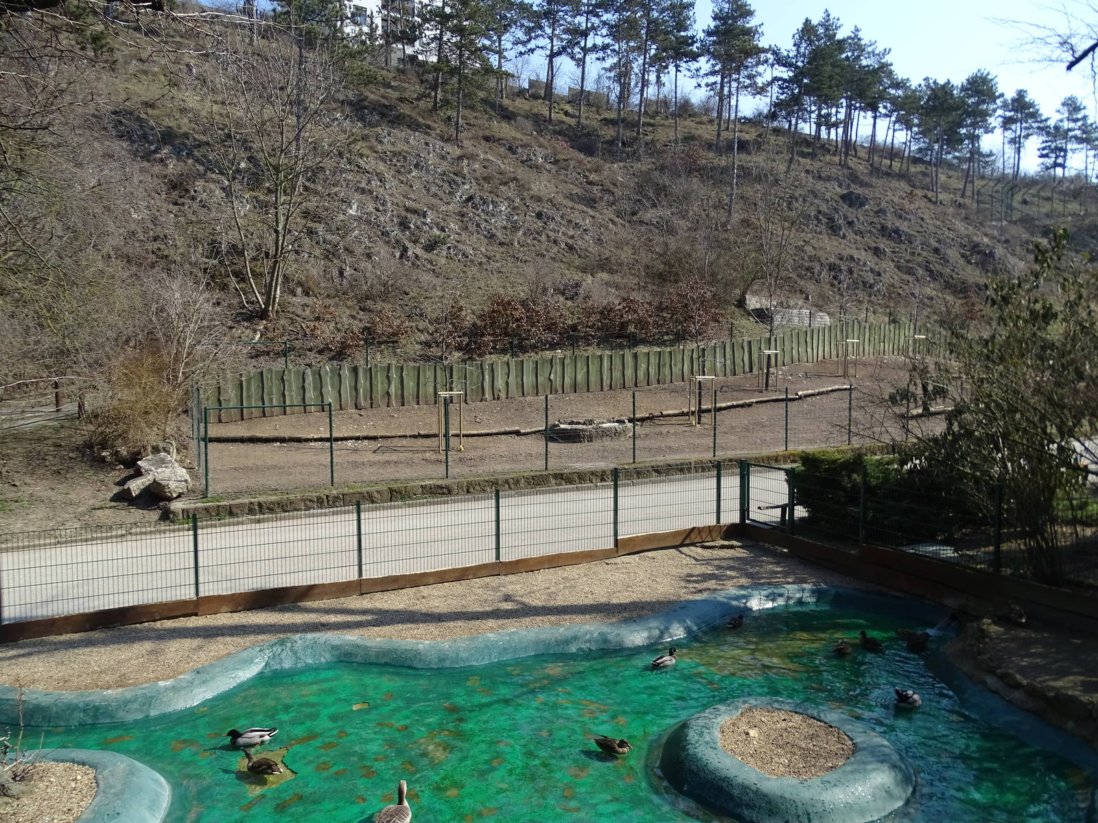 Blackbuck / waterfowl enclosures
