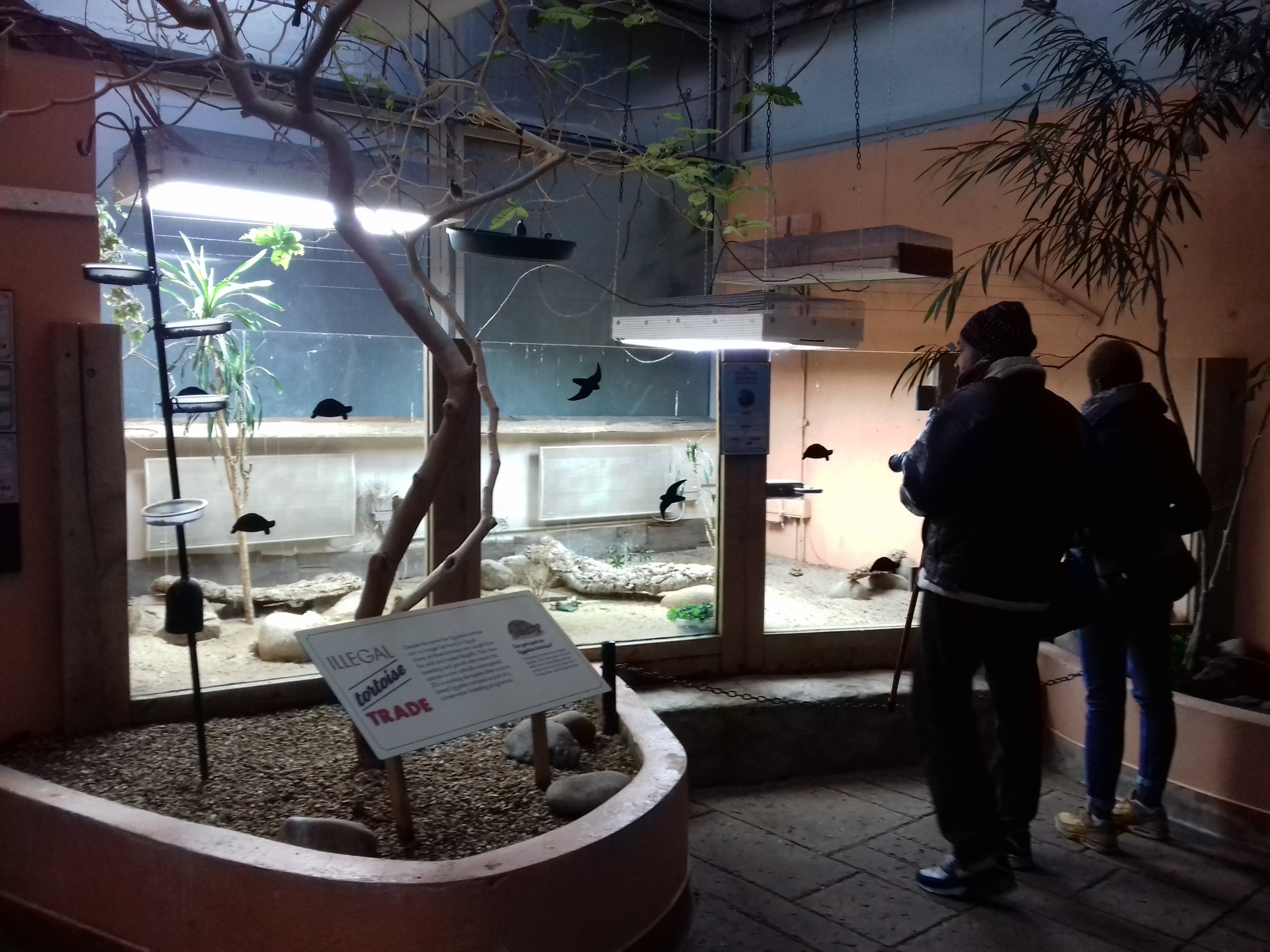 Blackburn Pavilion 12/02/2019