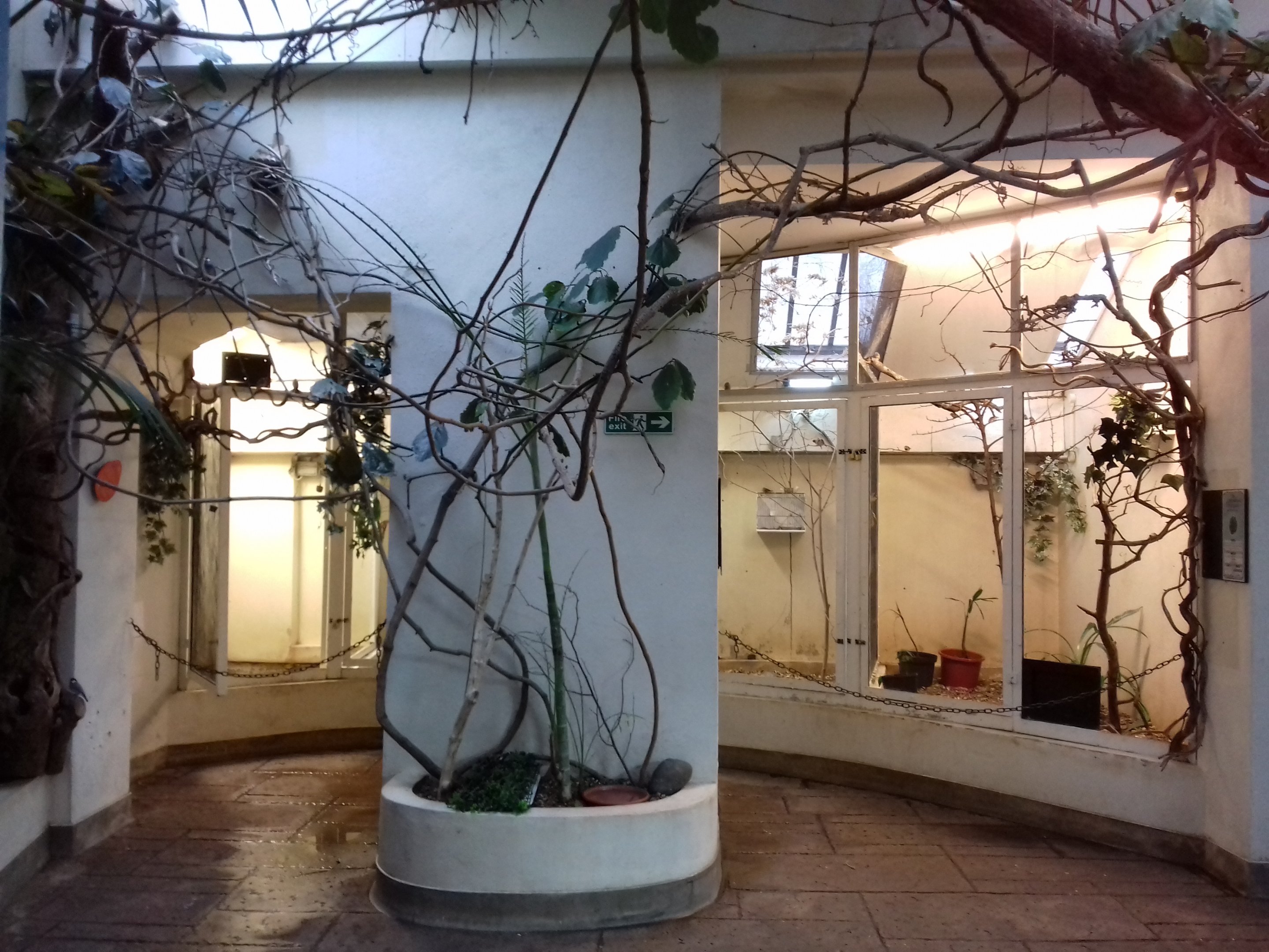 Blackburn Pavilion 12/02/2019