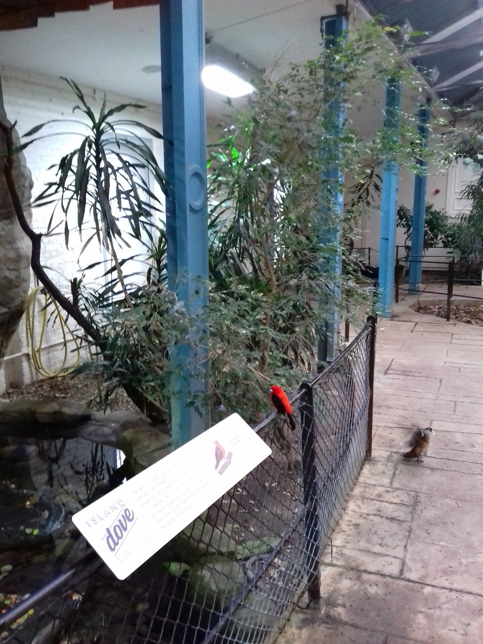 Blackburn Pavilion 12/02/2019