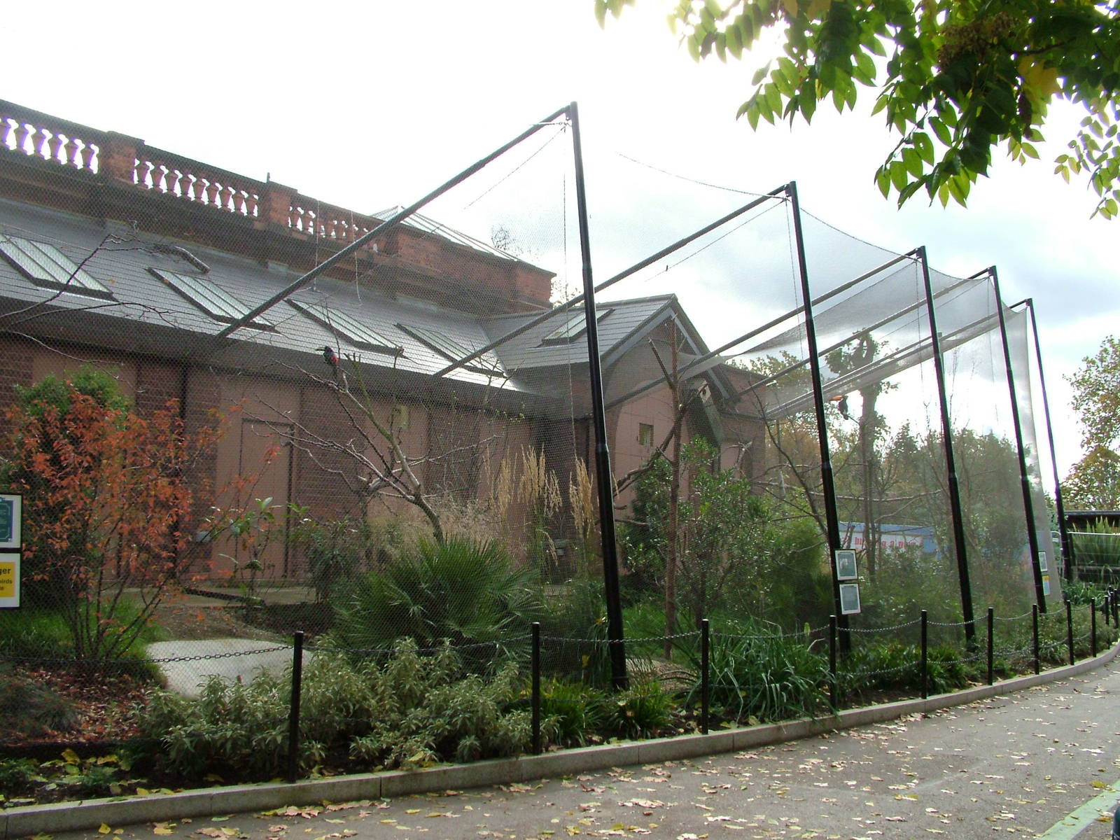 Blackburn Pavilion at London Zoo Oct 08