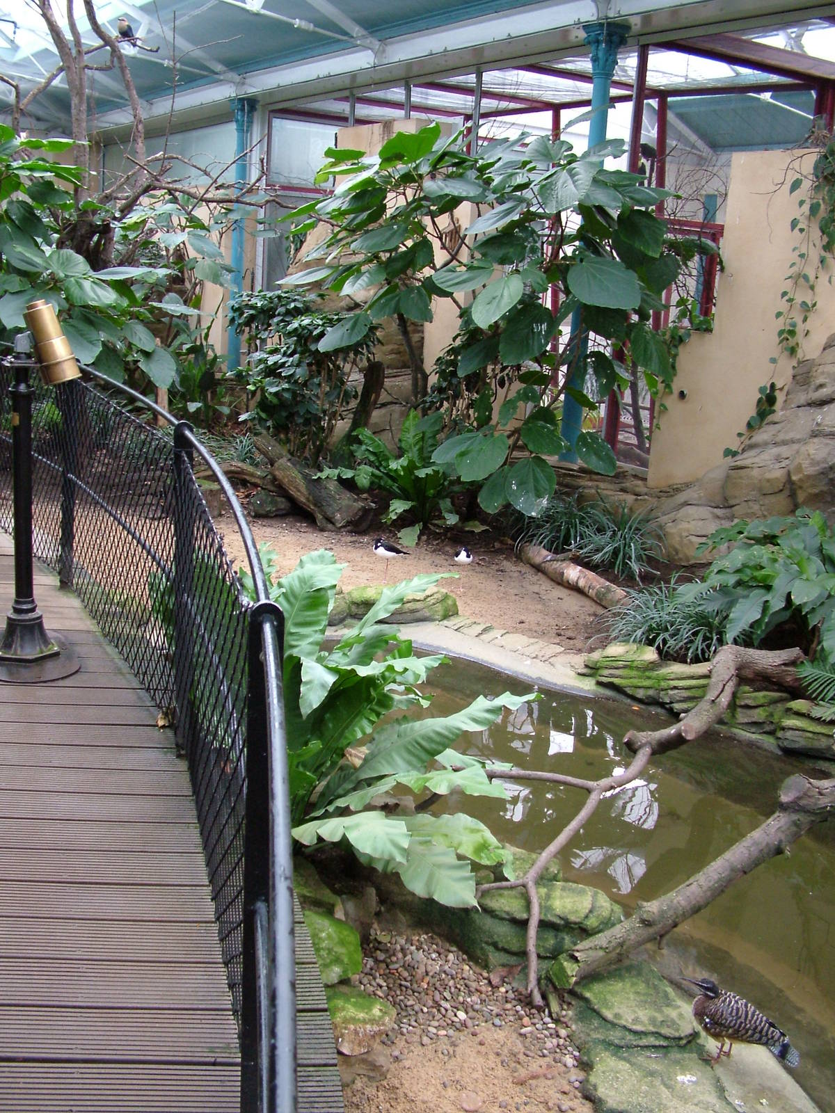 Blackburn Pavilion at London Zoo Oct 08